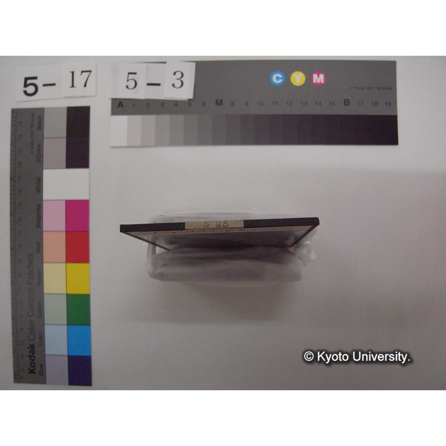 スライド(ガラス種板): S25 Fishing net at Logo Bracciano. (2)