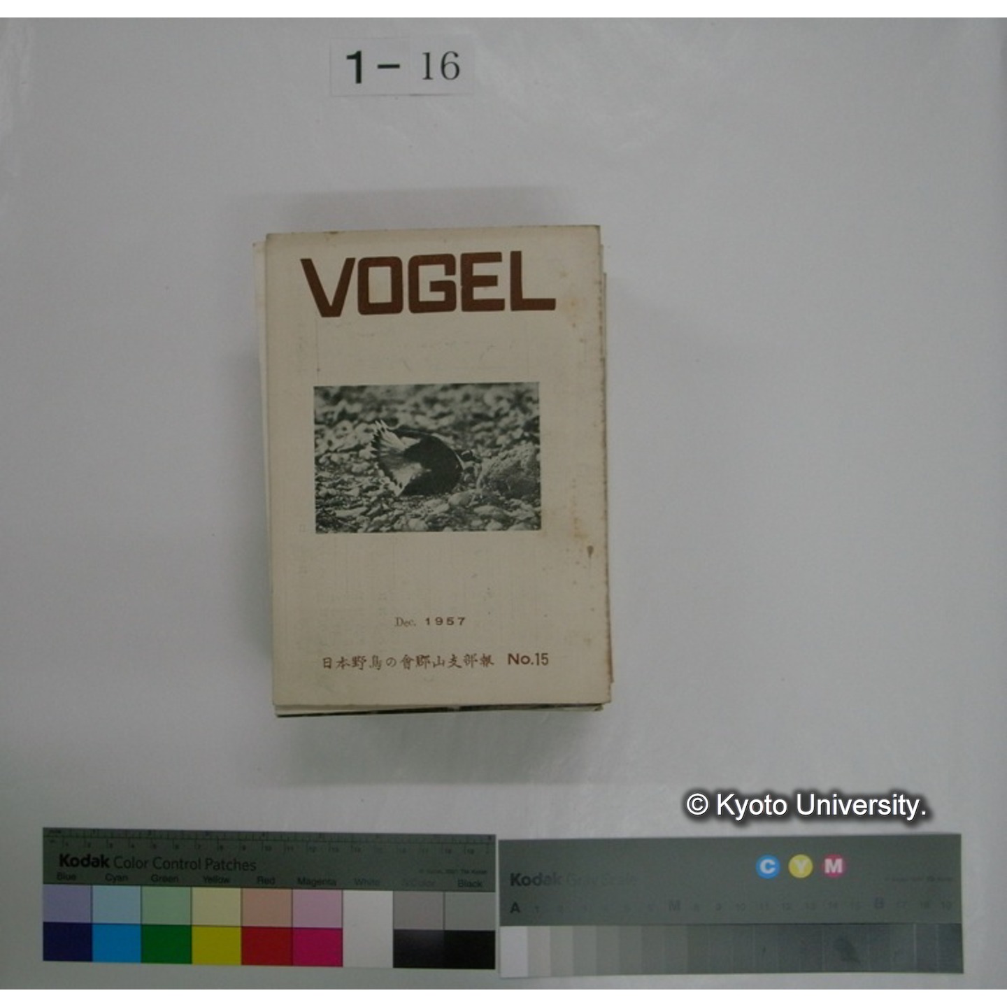 寄稿誌 (「寄稿誌No.1」) (3)