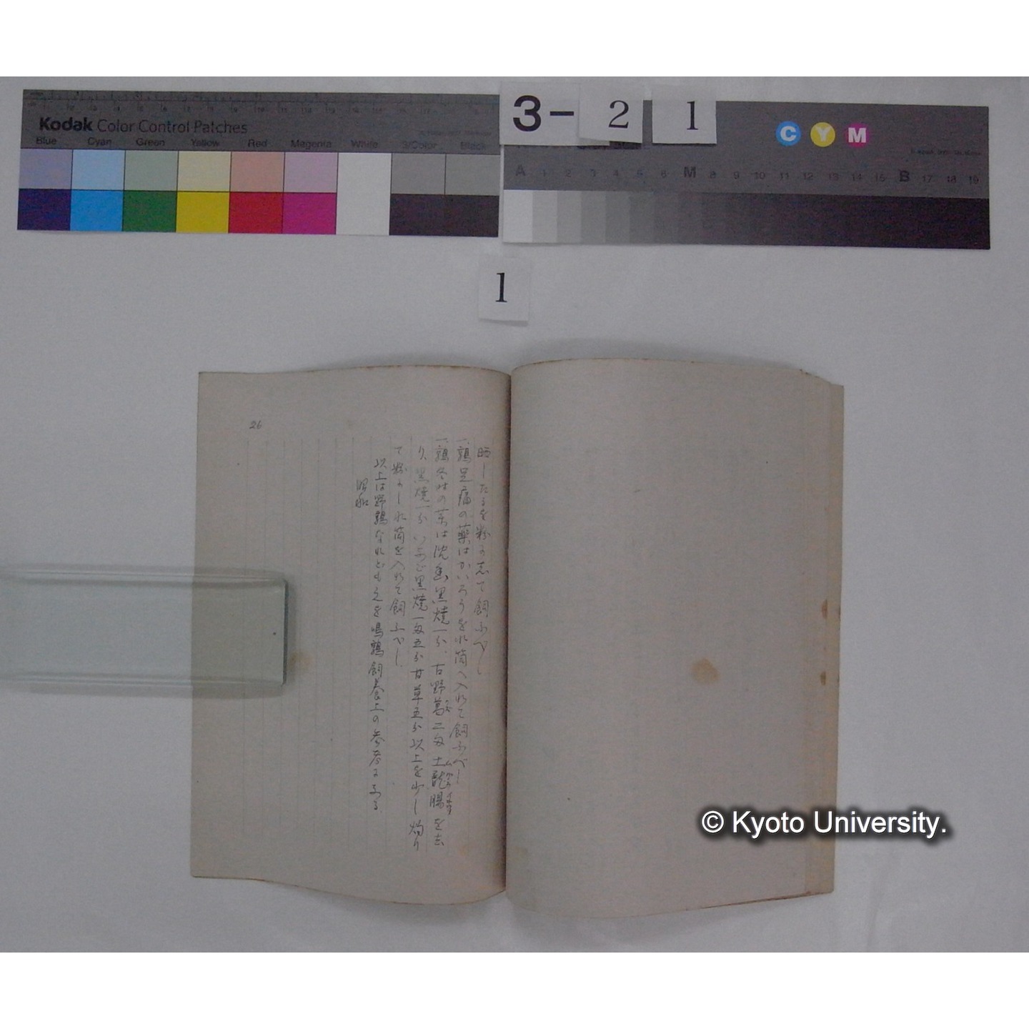 春首論 : 鶉飼方秘伝 (写本写し) [直筆書写] / 渕澤氏寫之 ; 川村多實二(写) (3)