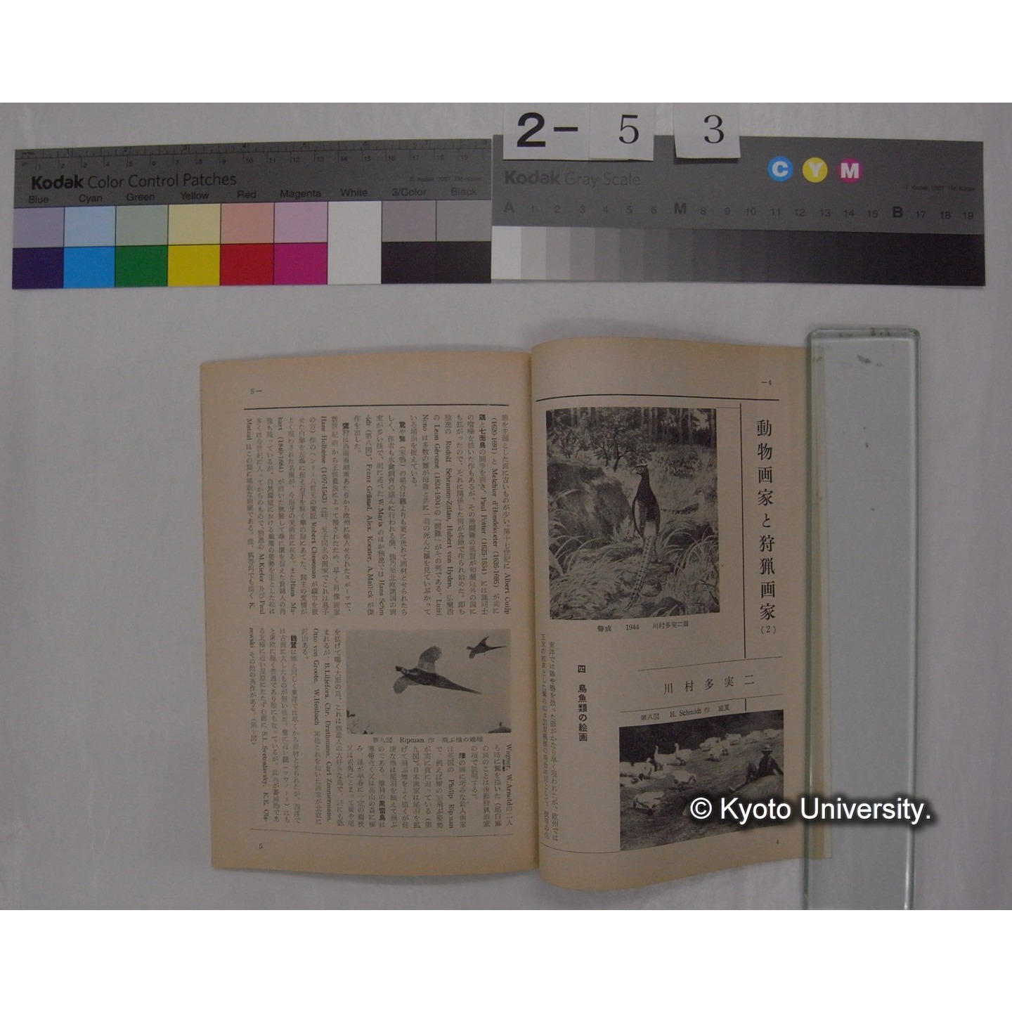 野鳥 (24巻1号,昭和34年1-2) / 日本野鳥の会 (3)