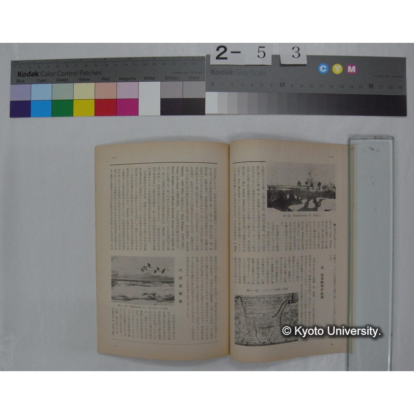 野鳥 (24巻1号,昭和34年1-2) / 日本野鳥の会 (4)