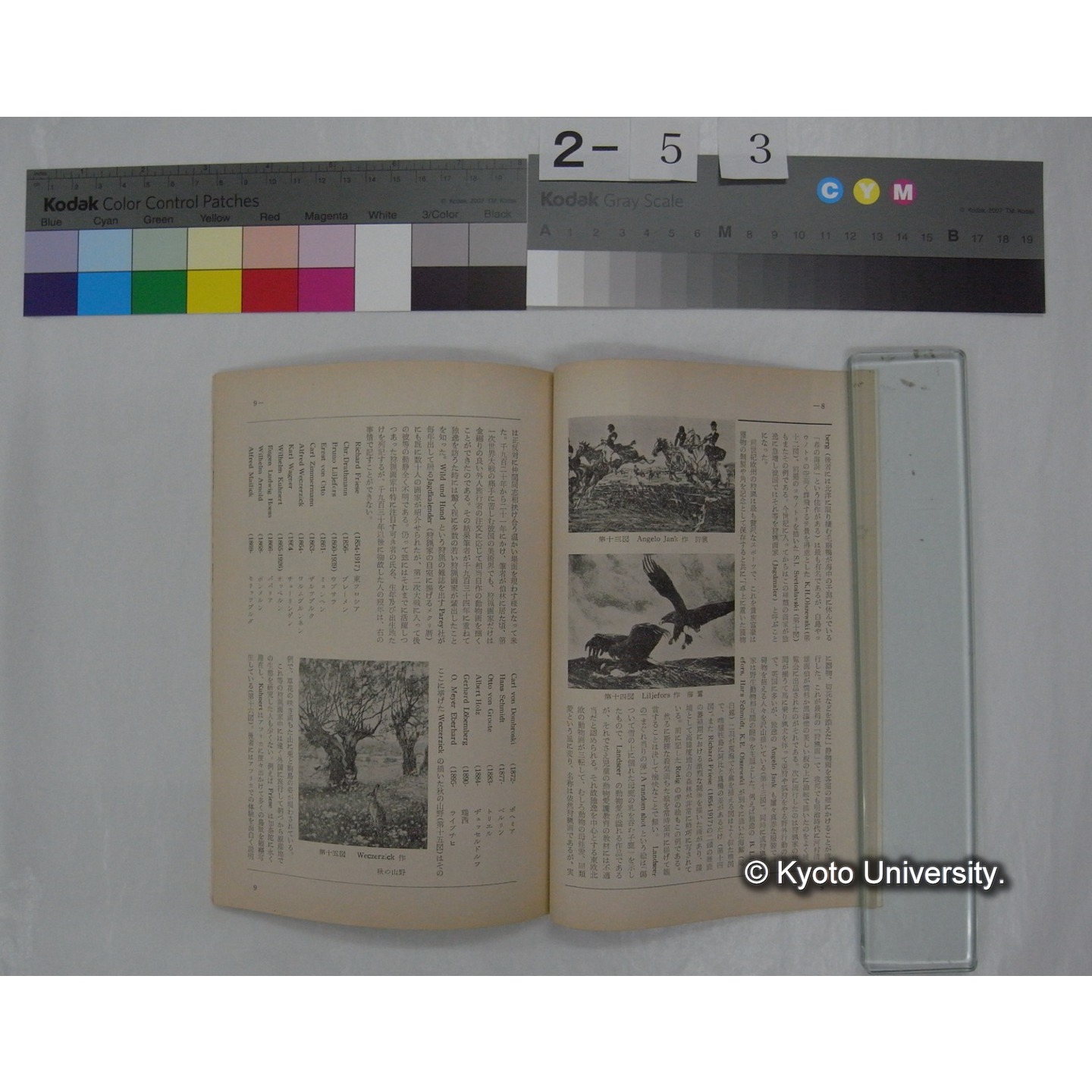 野鳥 (24巻1号,昭和34年1-2) / 日本野鳥の会 (5)