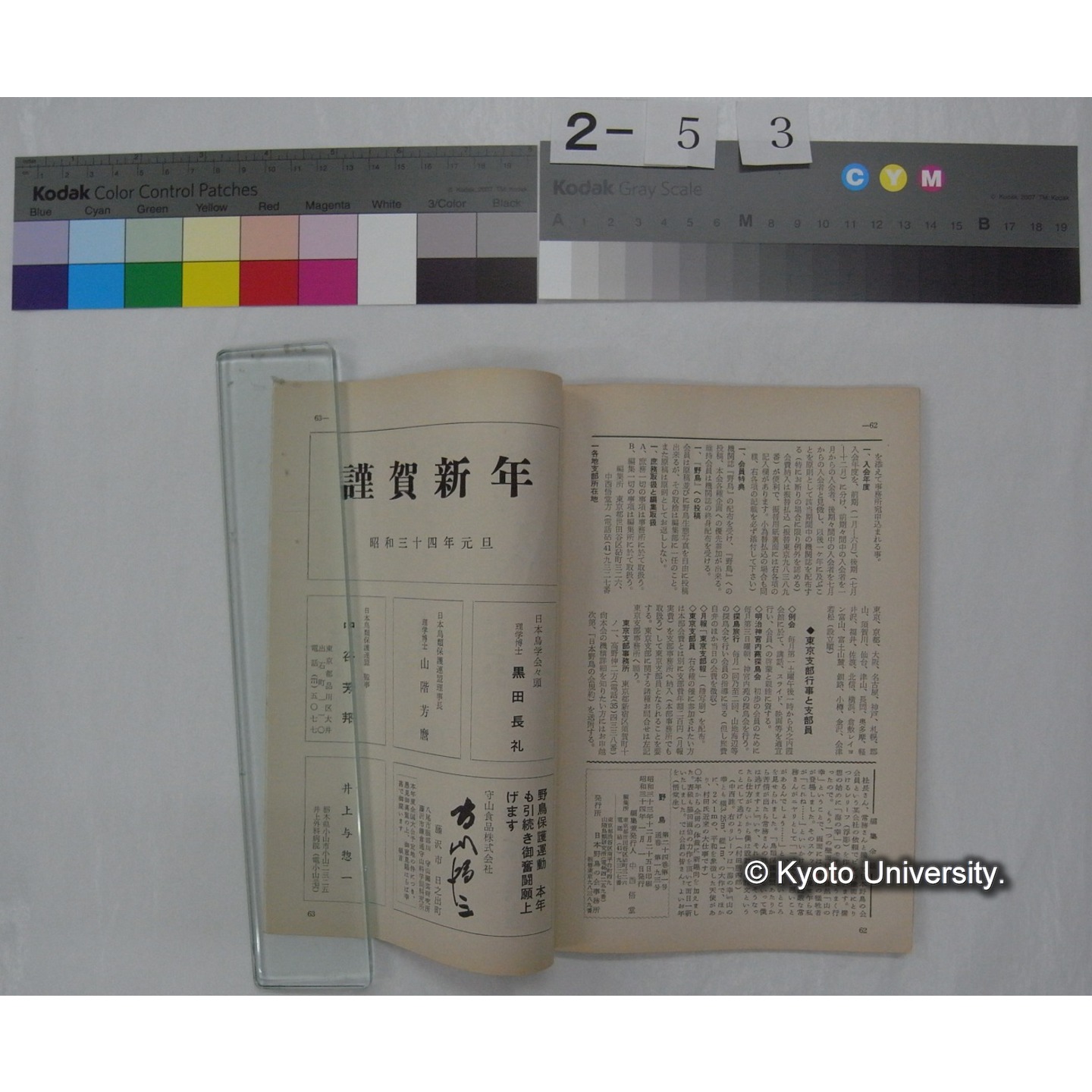 野鳥 (24巻1号,昭和34年1-2) / 日本野鳥の会 (8)