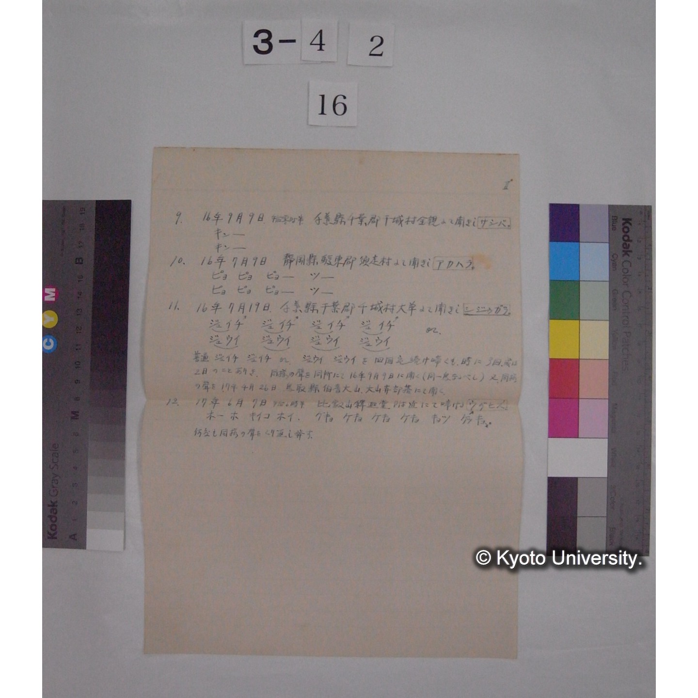 ひよどり とび あかはら しじふから / 白井邦彦君採録 (2)