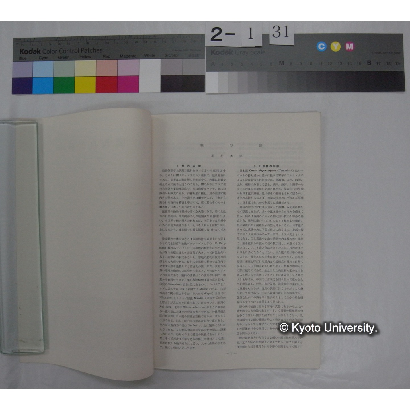 関西自然科学 15号(昭和37.12) (2)