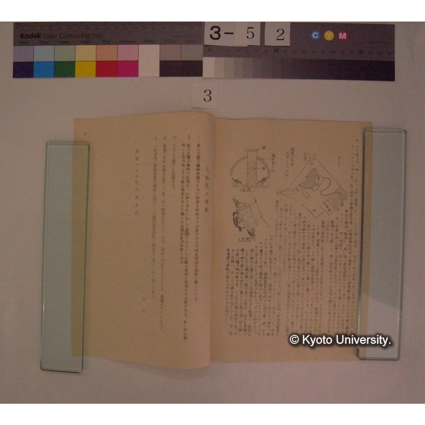 兼六公園内鳥類保護施策 / 川村多實二 (3)