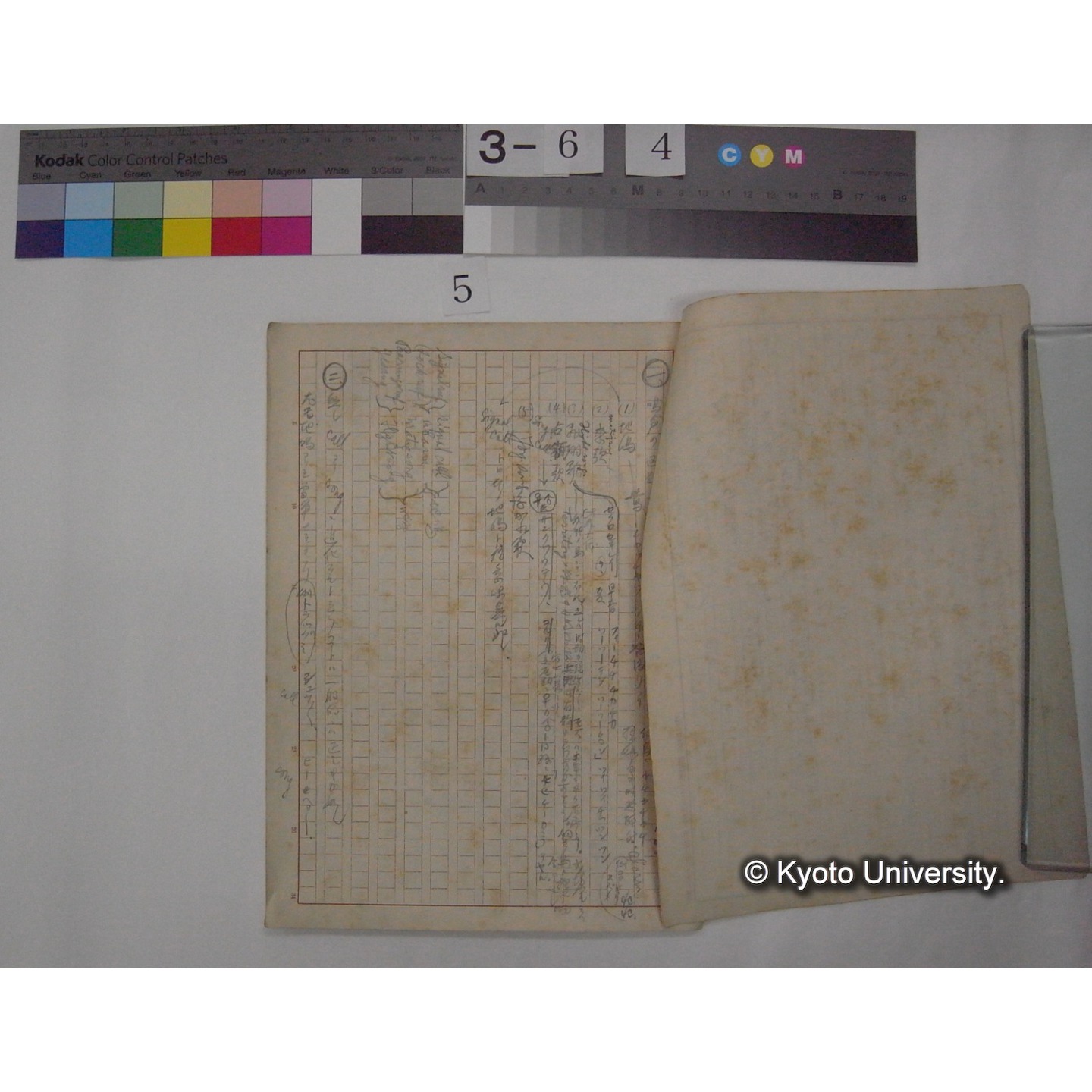 鳥の歌の科学的研究(野鳥; 2巻7,8号)原稿資料 / (川村多實二) [直筆ノート] (3)