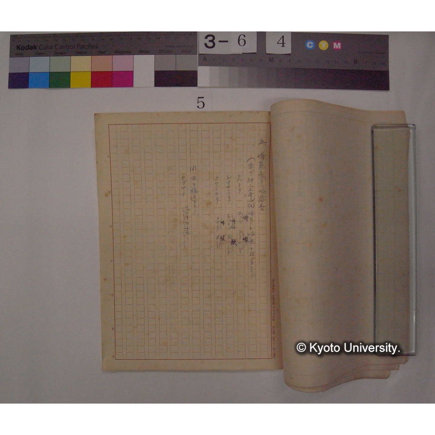 鳥の歌の科学的研究(野鳥; 2巻7,8号)原稿資料 / (川村多實二) [直筆ノート] (5)