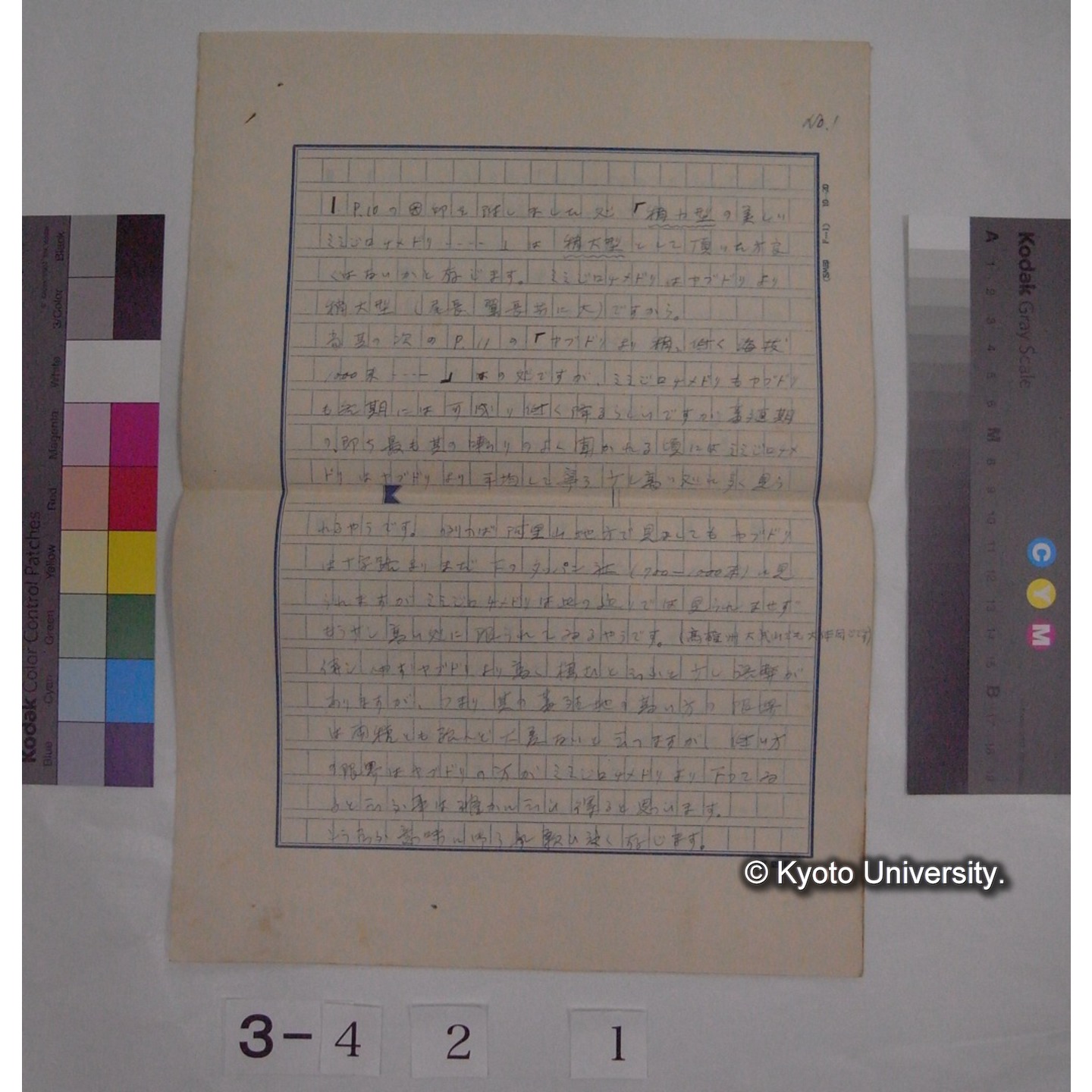 (書簡あるいは書簡下書き) (1)