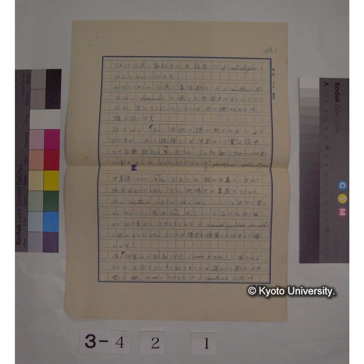 (書簡あるいは書簡下書き) (3)