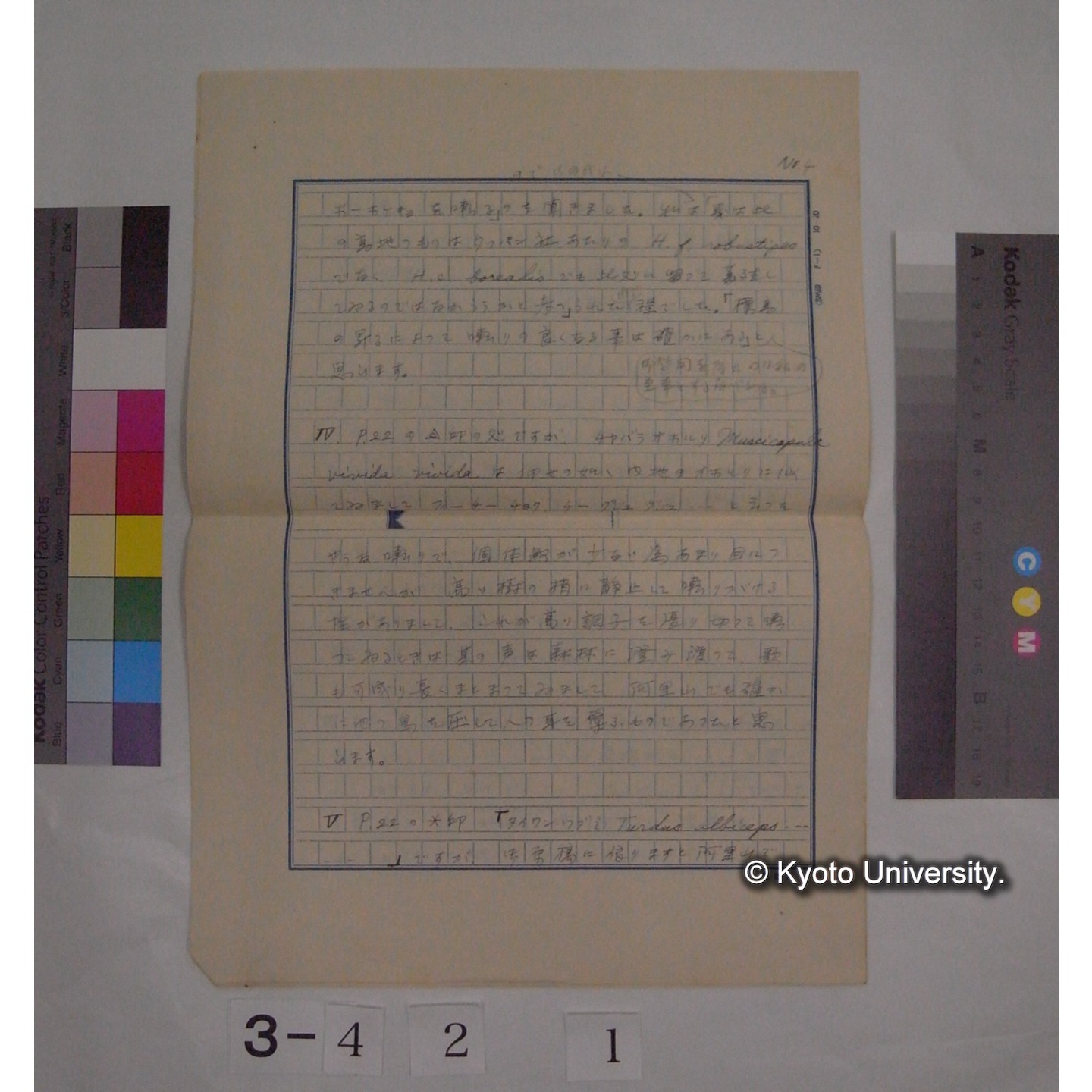 (書簡あるいは書簡下書き) (4)