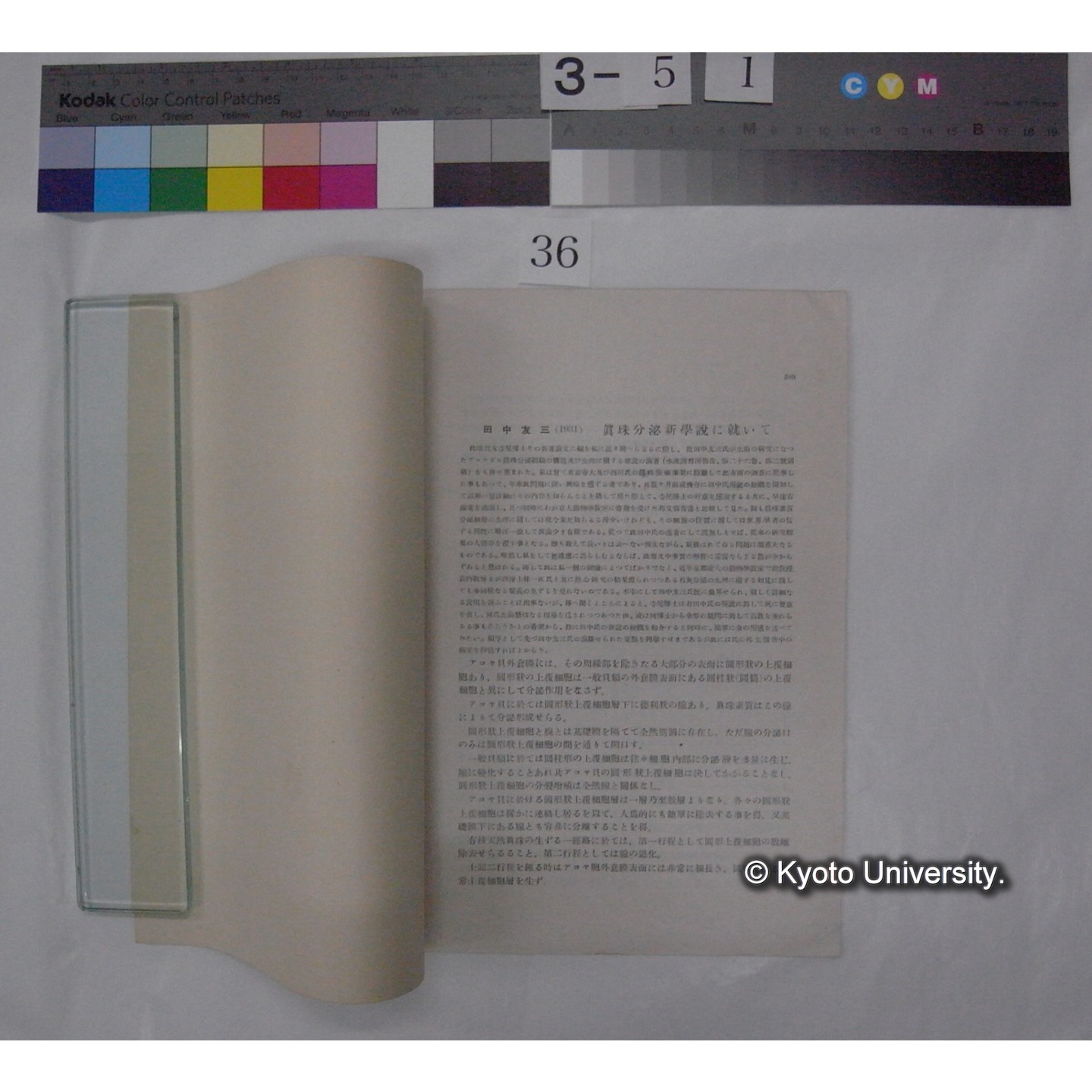 田中友三氏 真珠分泌新学説に就いて / 川村多實二 (動物学雑誌43巻515号別刷) (2)