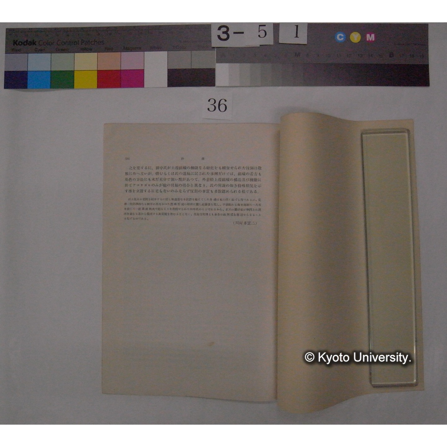 田中友三氏 真珠分泌新学説に就いて / 川村多實二 (動物学雑誌43巻515号別刷) (3)