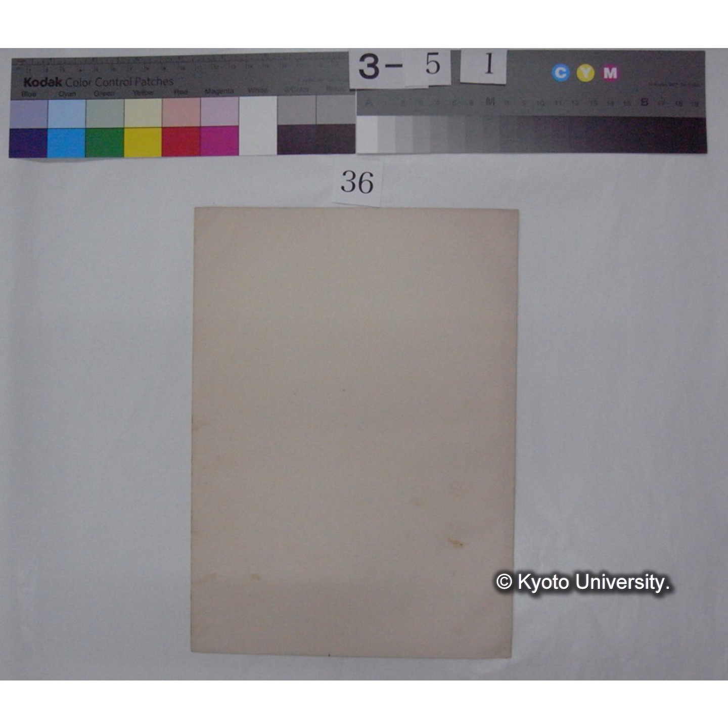 田中友三氏 真珠分泌新学説に就いて / 川村多實二 (動物学雑誌43巻515号別刷) (4)