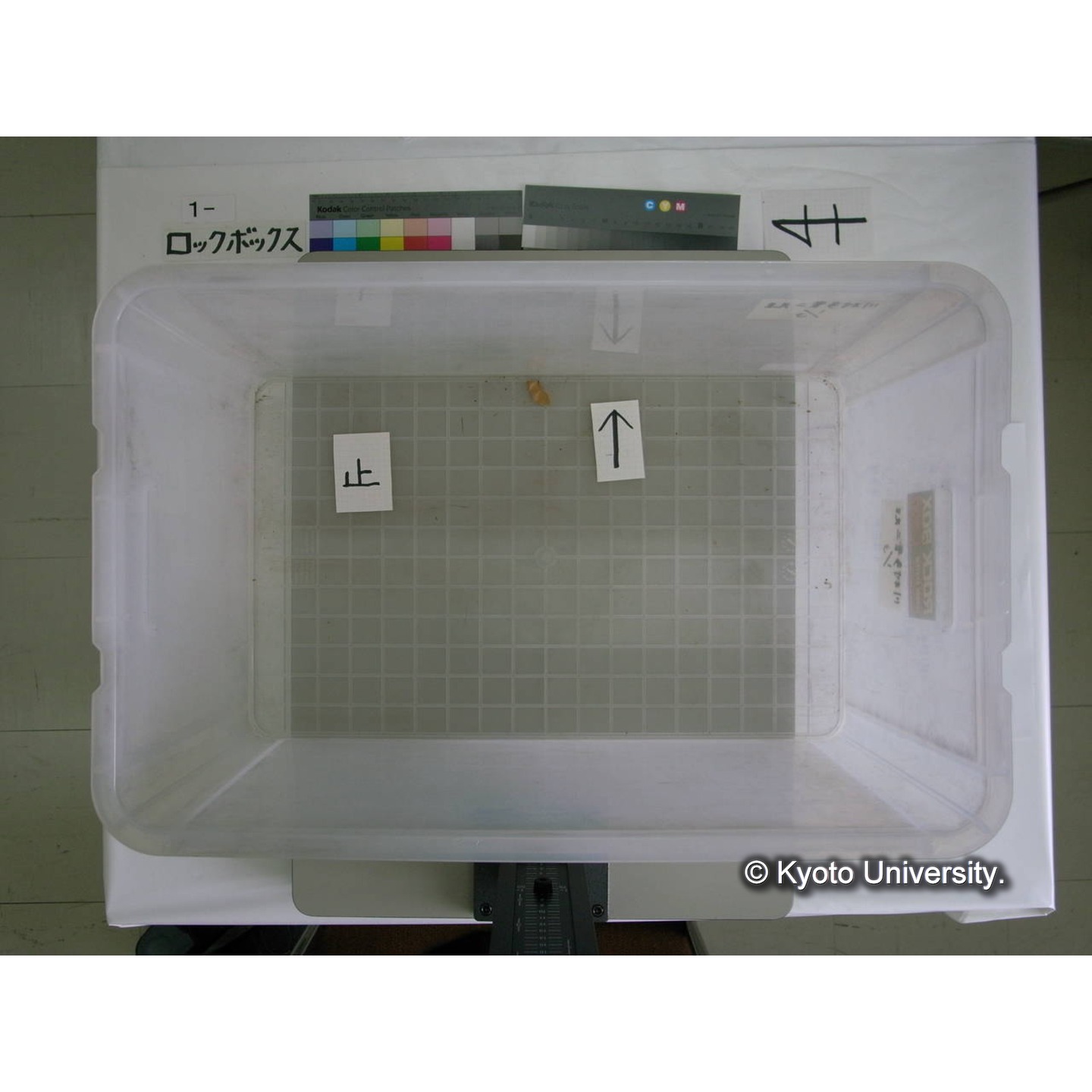 [ロックボックス](側面 : ラベル「川村多實二先生 / 1/3」2枚) (12)