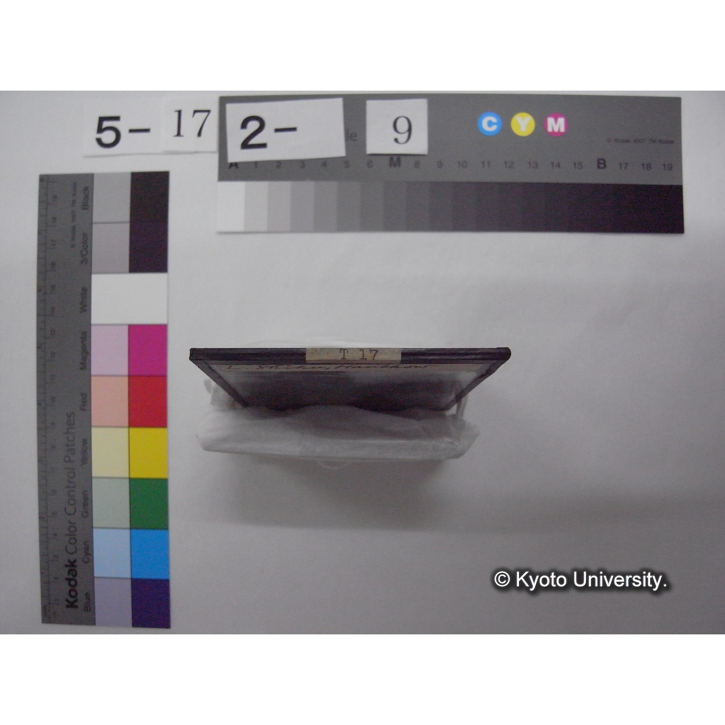 スライド(ガラス種板): T17 Lake Shihu, Hanchow. (2)