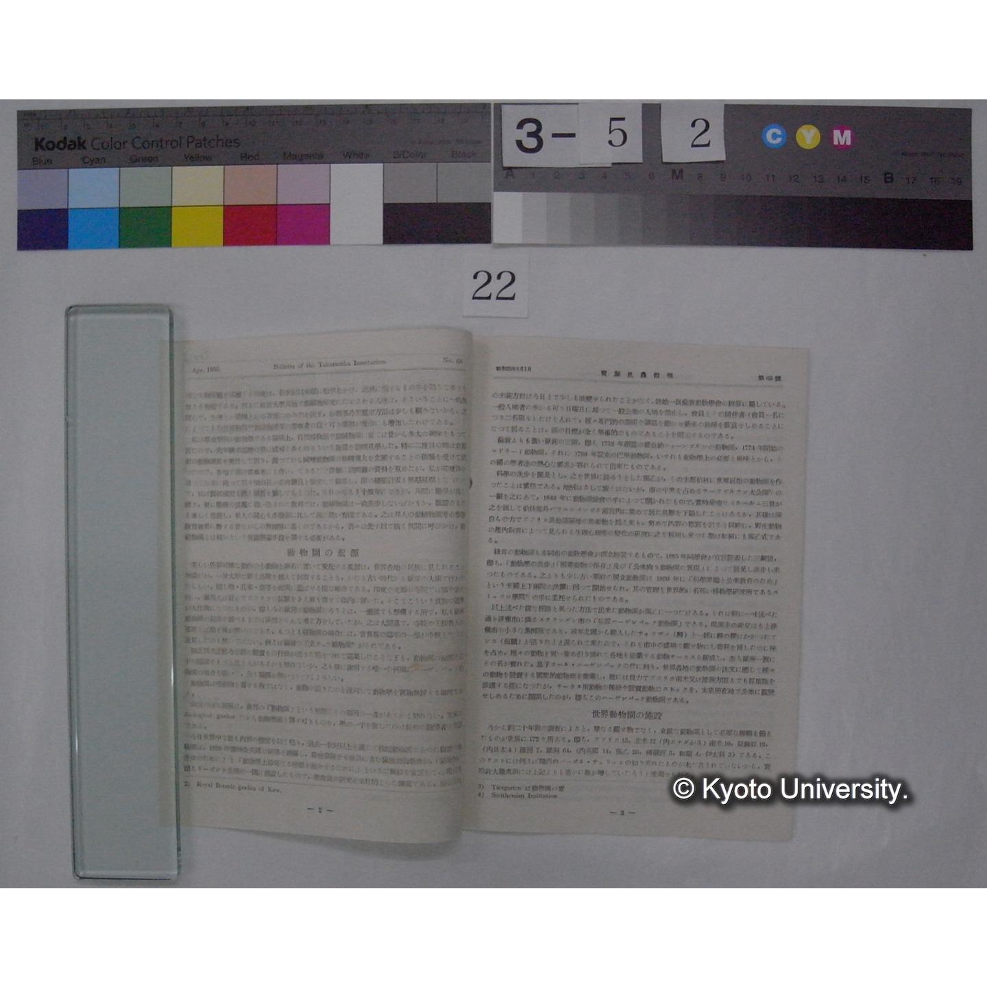 宝塚昆虫館報 (68号) (2)