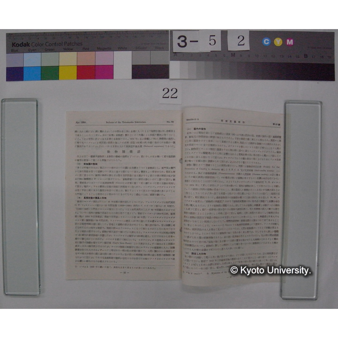 宝塚昆虫館報 (68号) (3)