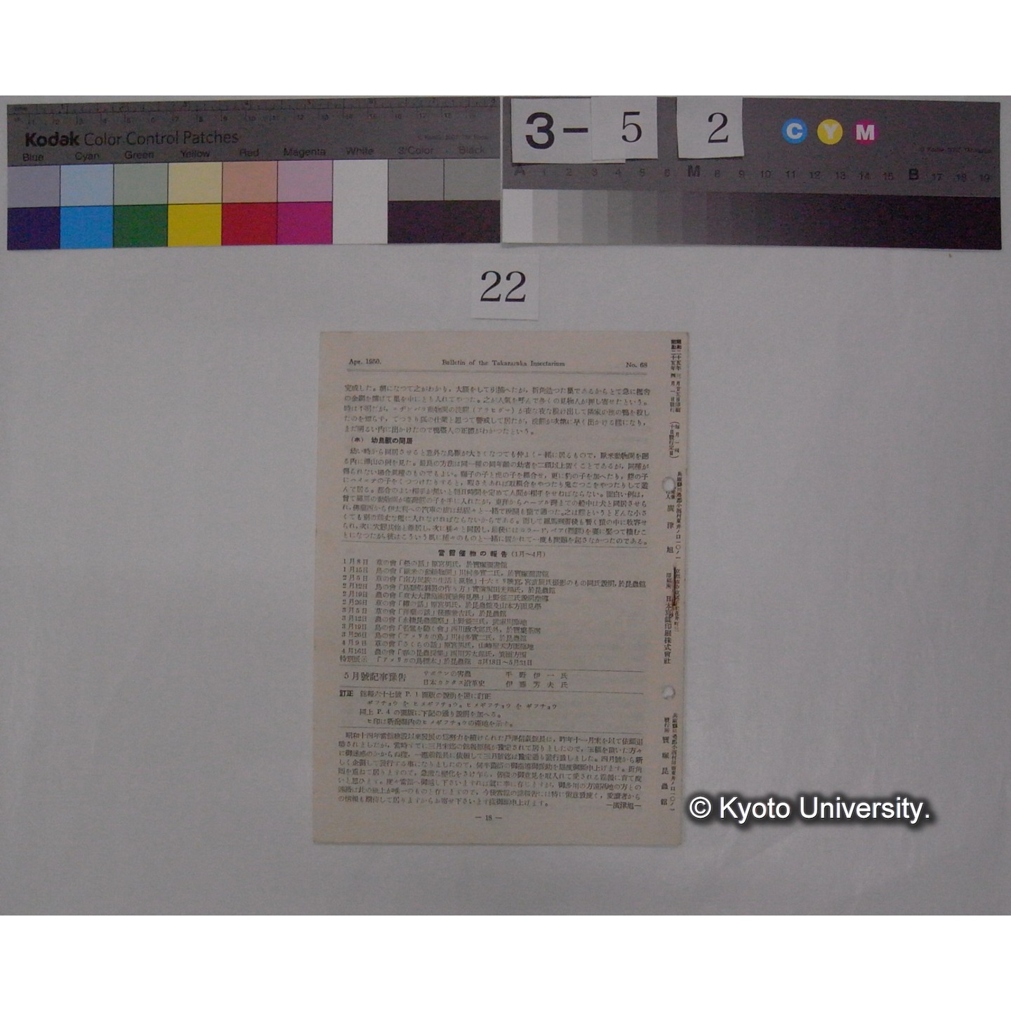 宝塚昆虫館報 (68号) (4)