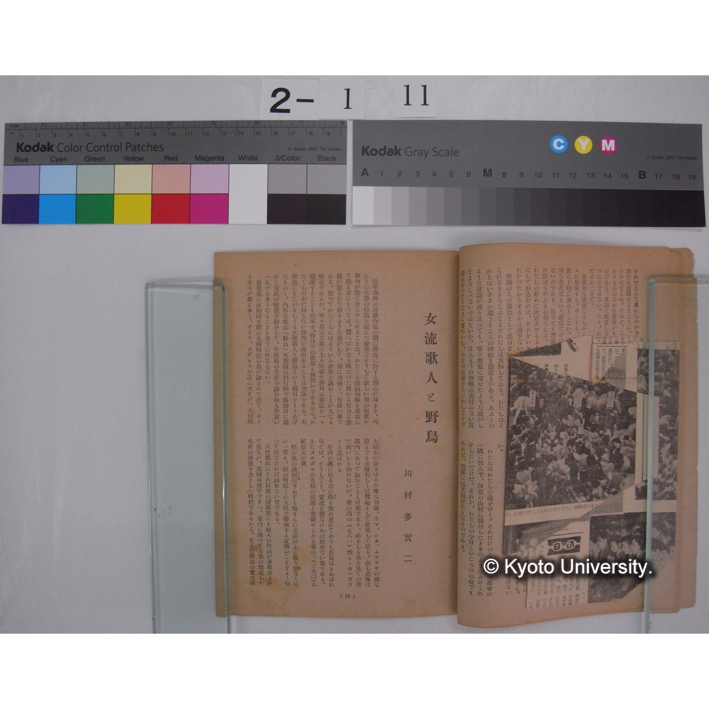 新世間 第2巻7号(昭和23.7) / 世間社 ; 九条武子の「鳥の歌」 [新聞切抜] / 川村多實二 (3)