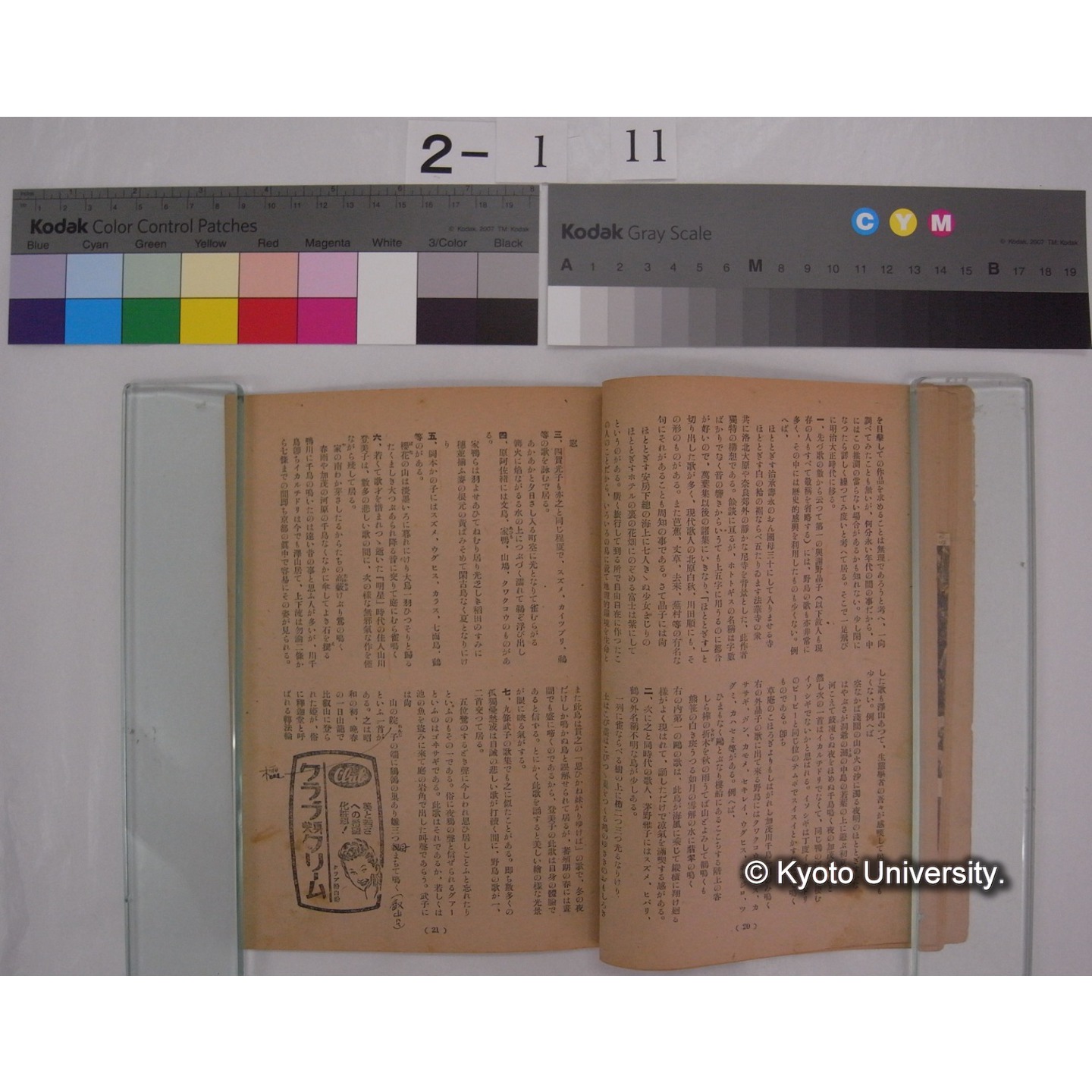 新世間 第2巻7号(昭和23.7) / 世間社 ; 九条武子の「鳥の歌」 [新聞切抜] / 川村多實二 (4)