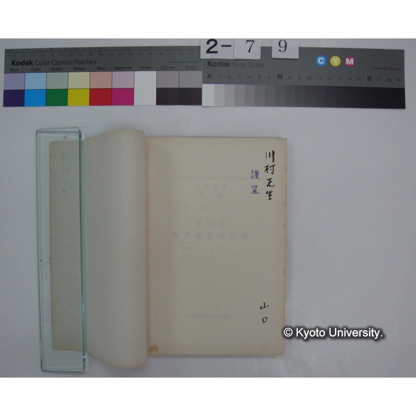北日本海無脊椎動物 / 山口英二 ; 山田真弓 共著 (生物叢書 第1篇) (2)