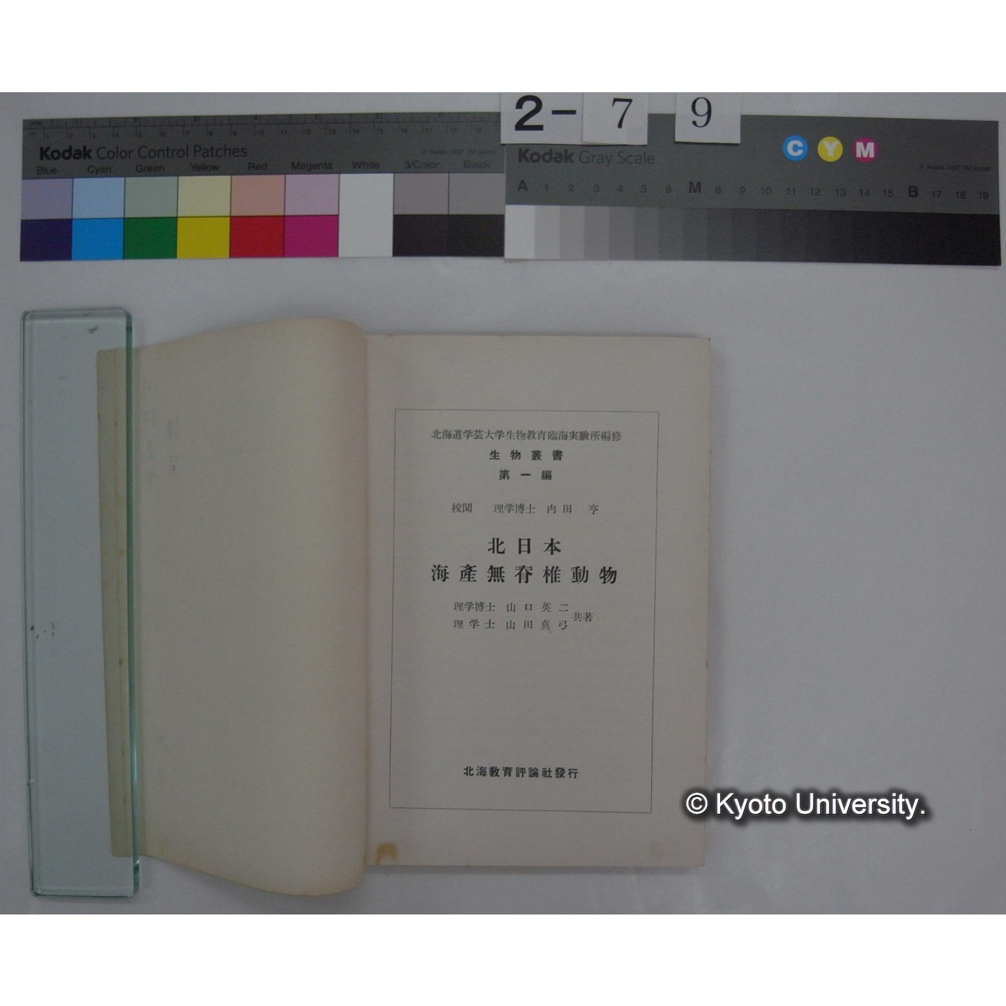 北日本海無脊椎動物 / 山口英二 ; 山田真弓 共著 (生物叢書 第1篇) (3)