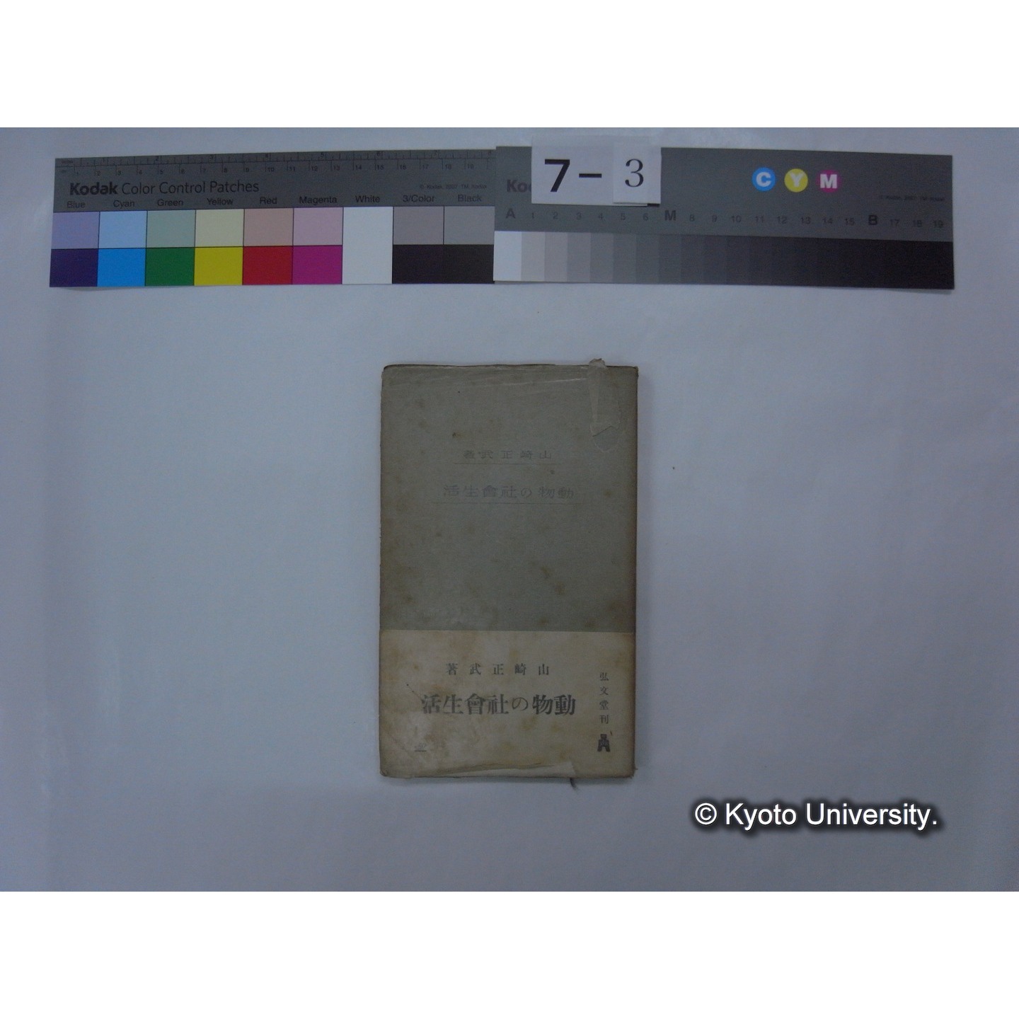 動物の社会生活 / 山崎正武著 (1)