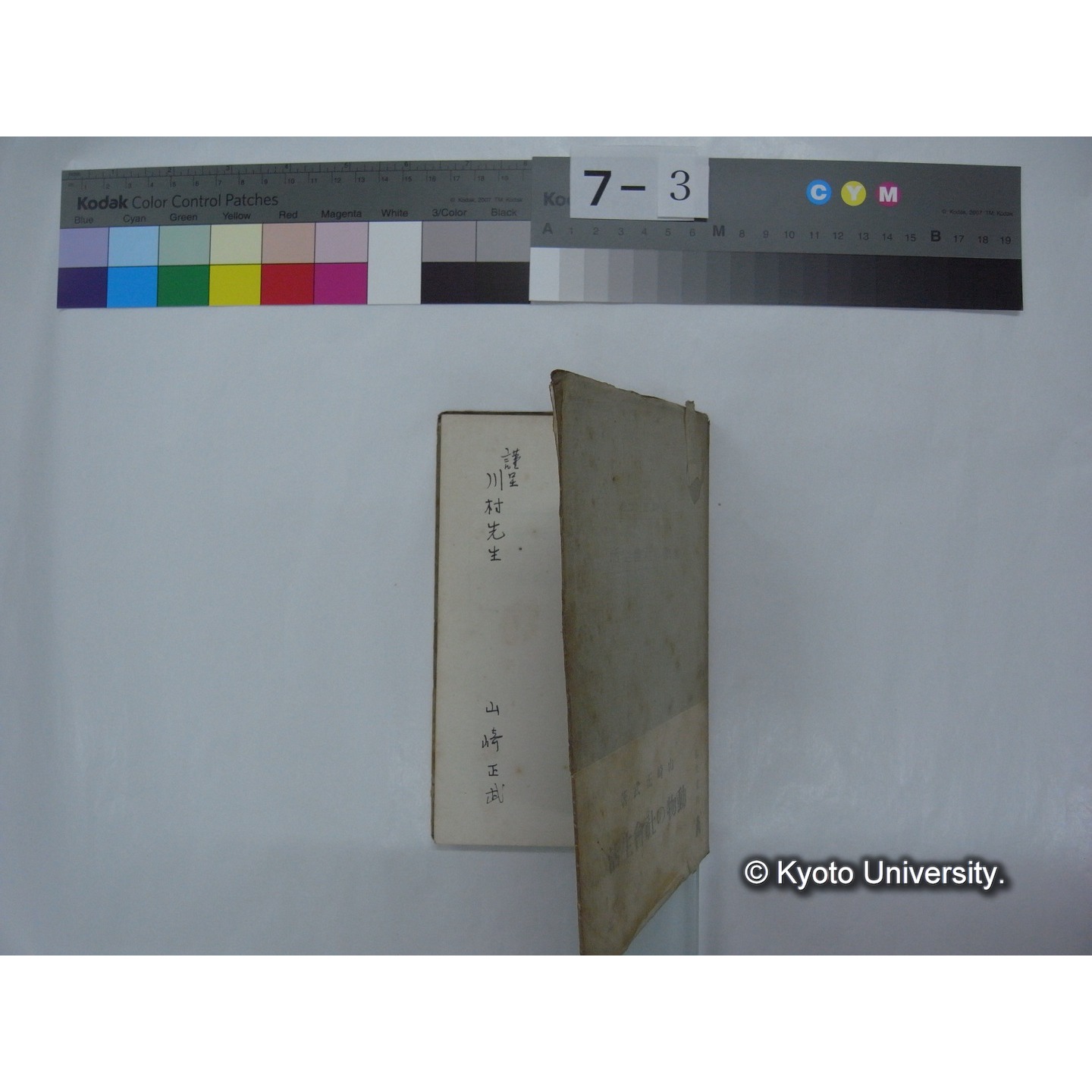 動物の社会生活 / 山崎正武著 (2)