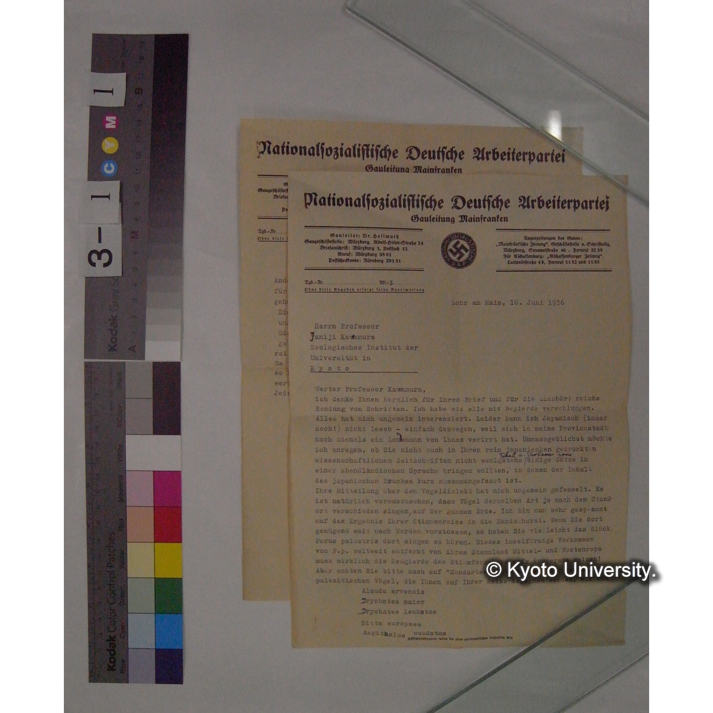 1936年1月16日付 差出人不詳発 川村多實二宛 書簡 (4)