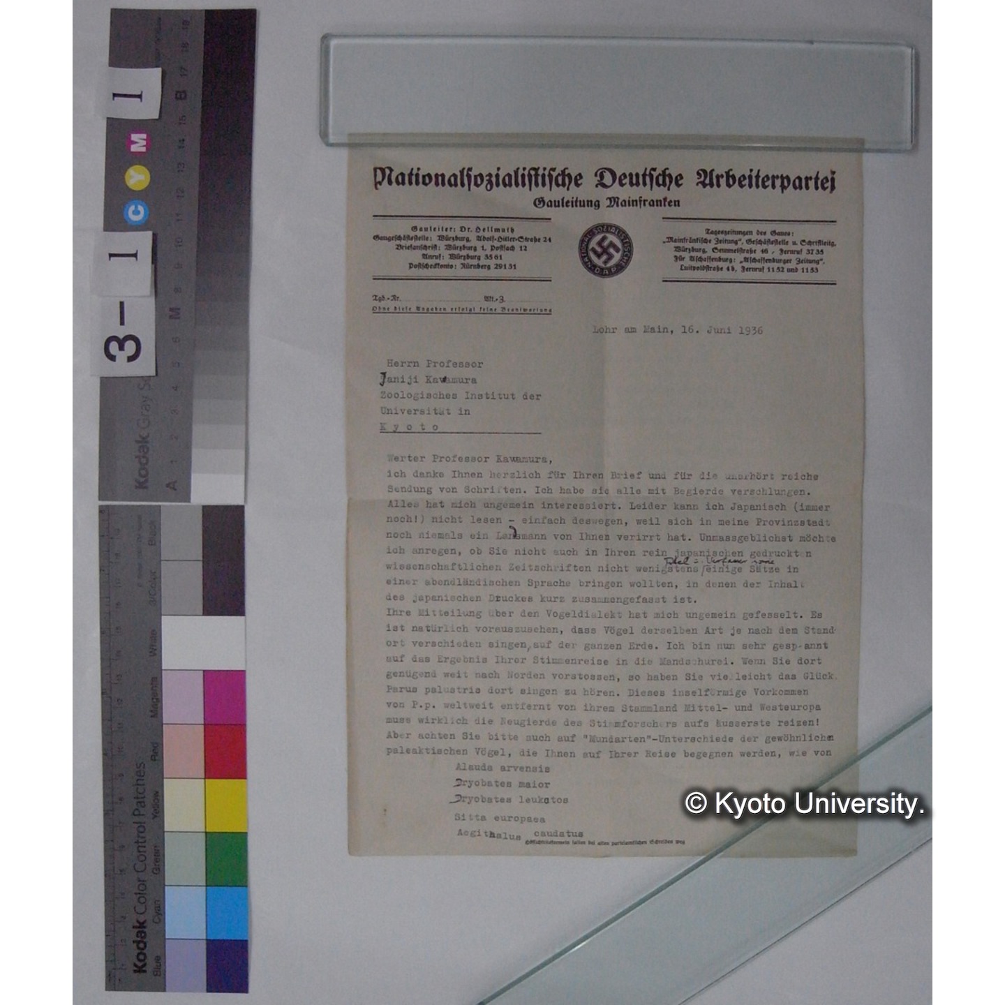 1936年1月16日付 差出人不詳発 川村多實二宛 書簡 (5)