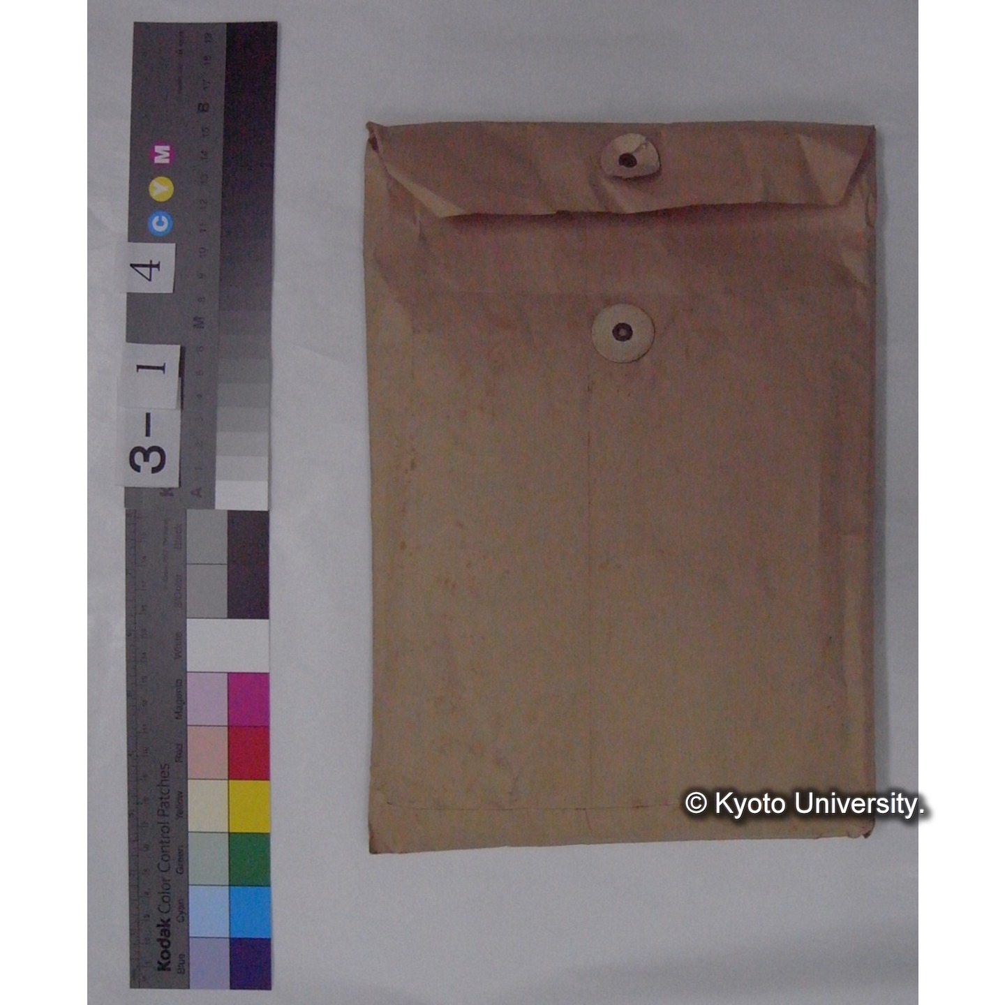 ミズダニ類標本スケッチ集 (2)