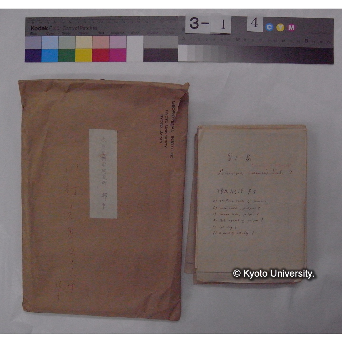 ミズダニ類標本スケッチ集 (3)