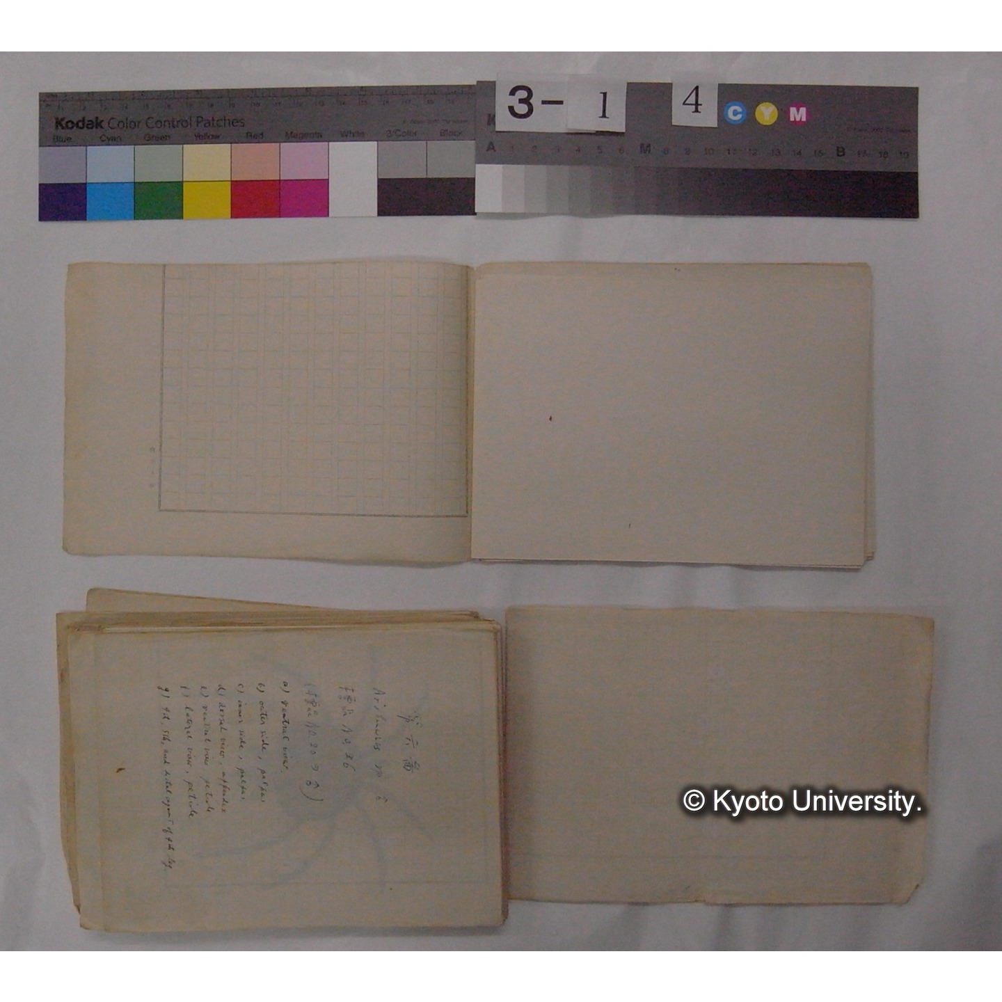 ミズダニ類標本スケッチ集 (18)