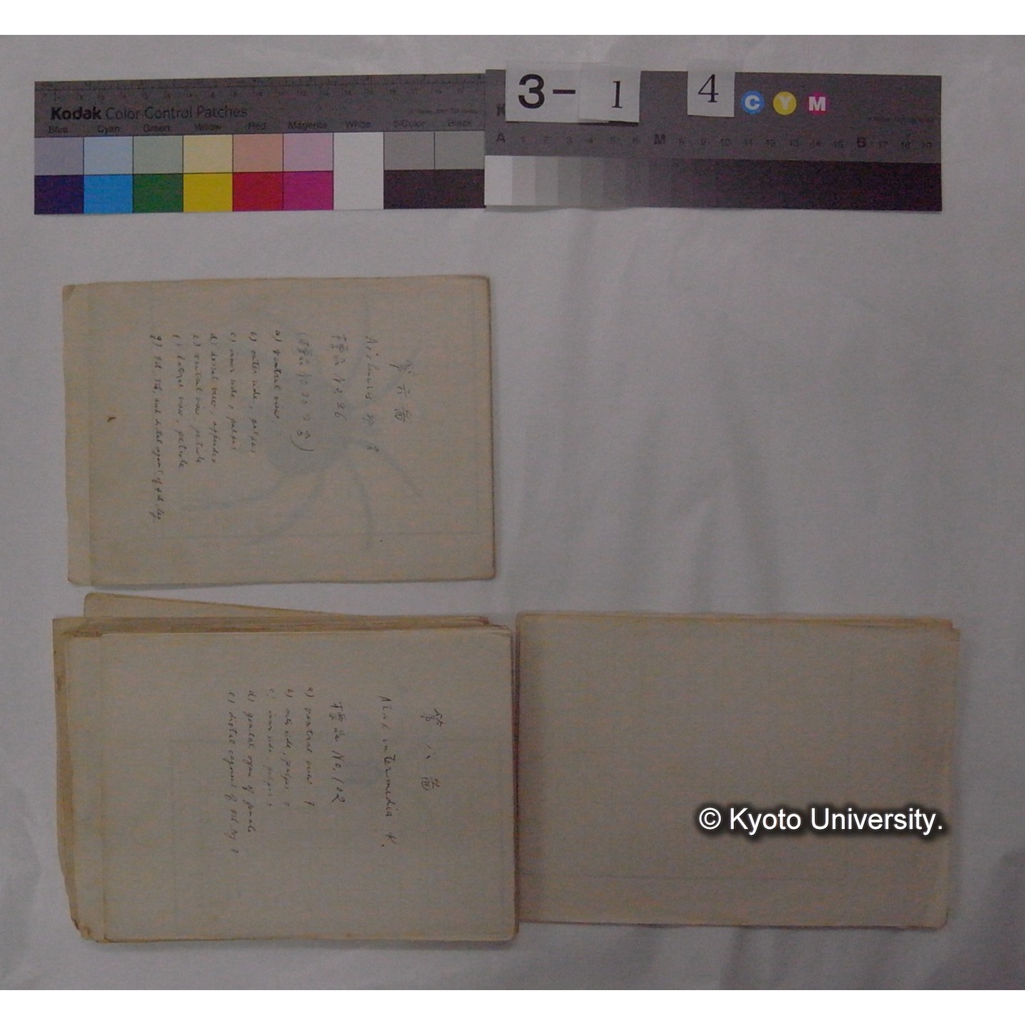 ミズダニ類標本スケッチ集 (19)