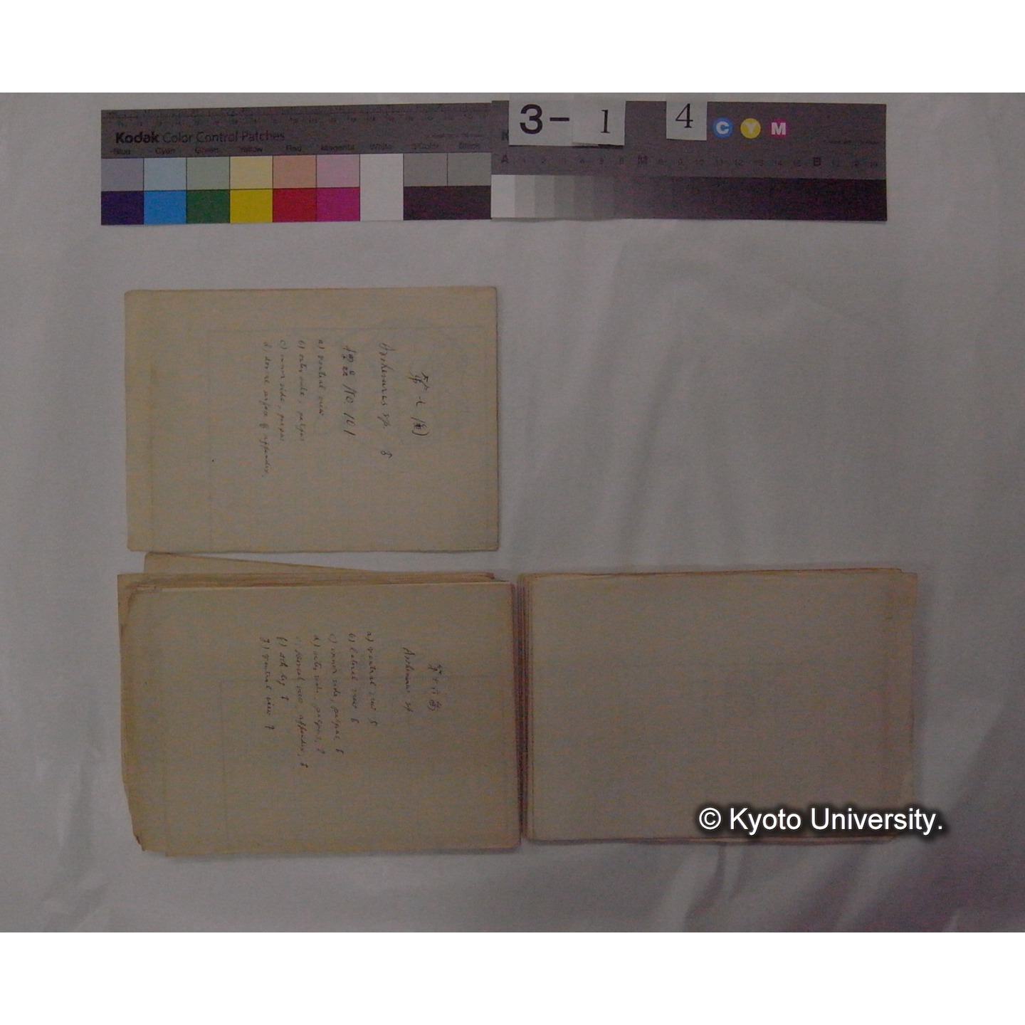 ミズダニ類標本スケッチ集 (42)