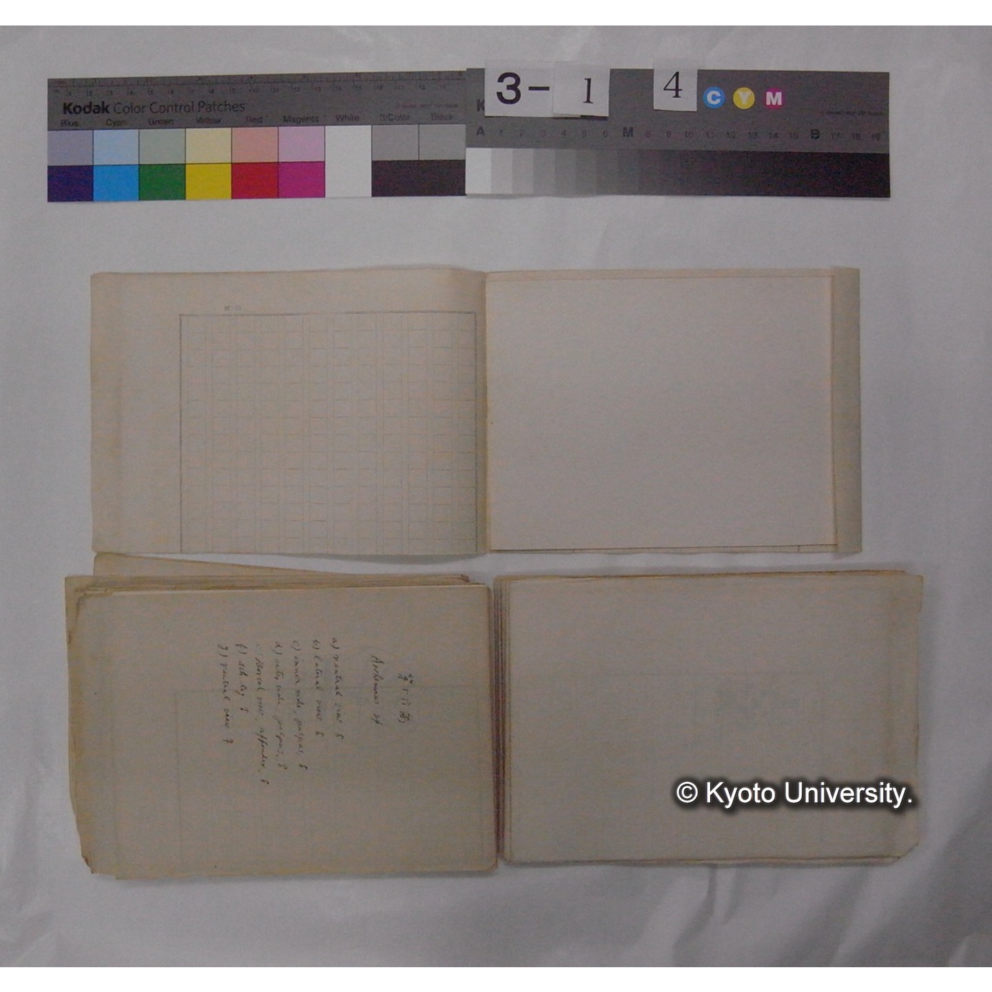 ミズダニ類標本スケッチ集 (46)