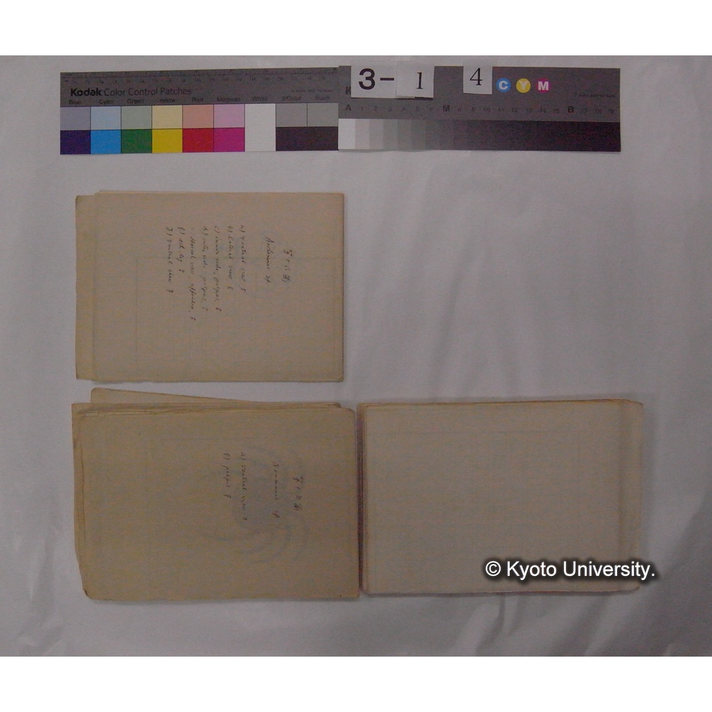 ミズダニ類標本スケッチ集 (47)