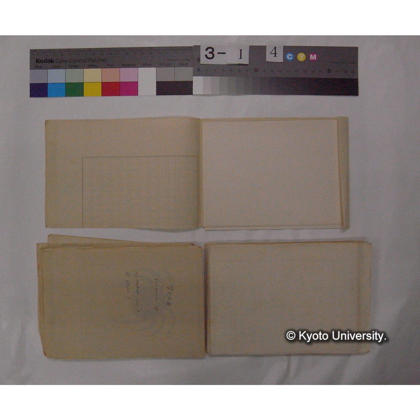 ミズダニ類標本スケッチ集 (54)