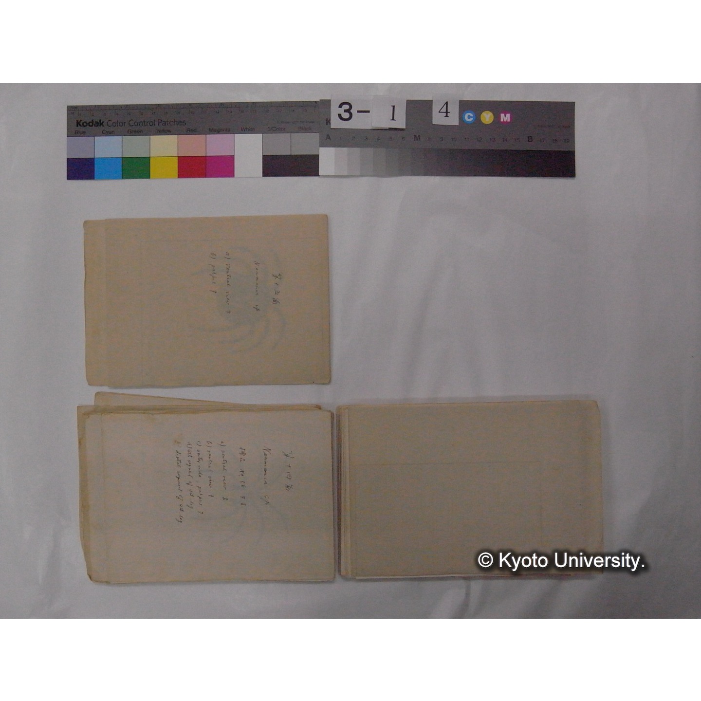 ミズダニ類標本スケッチ集 (55)