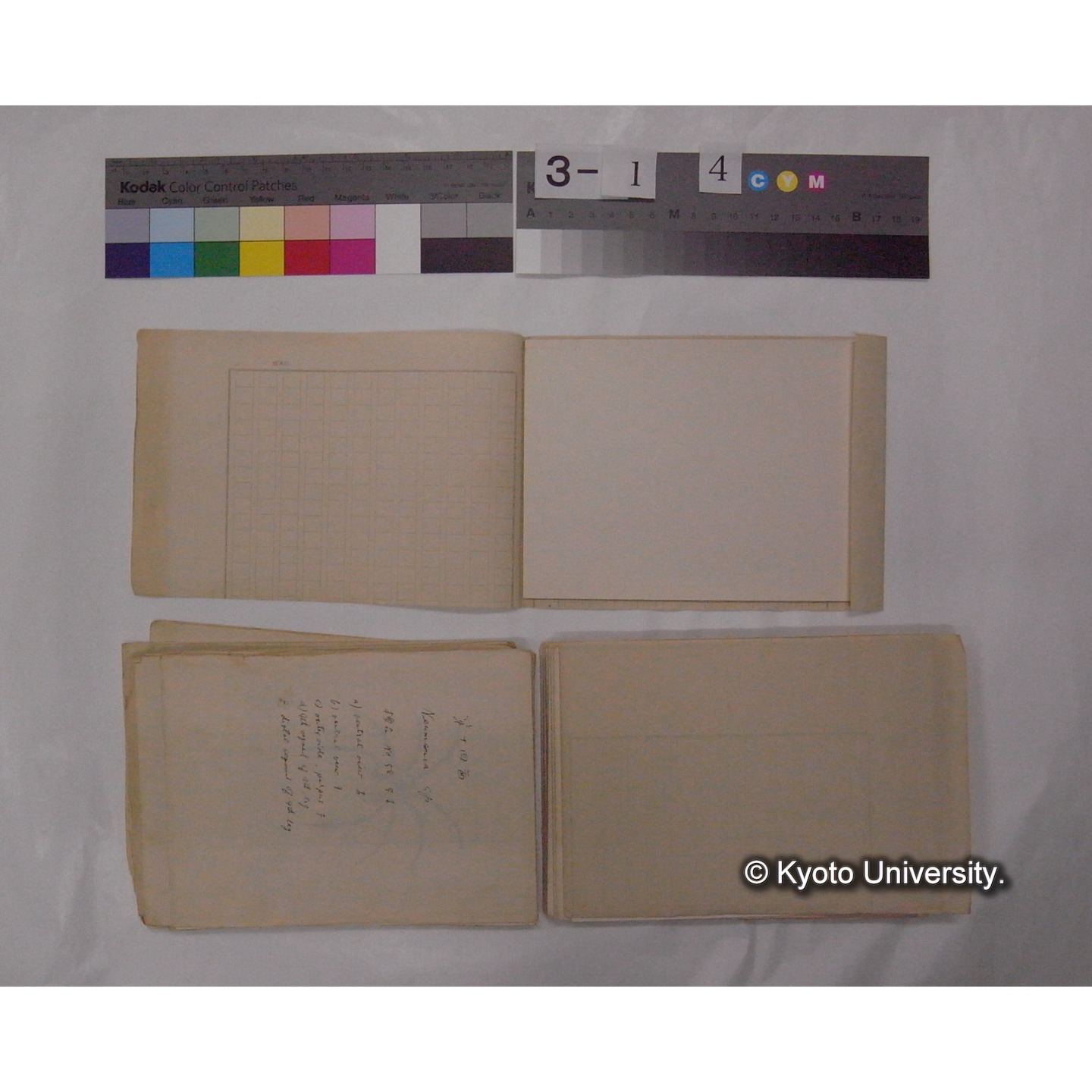 ミズダニ類標本スケッチ集 (59)