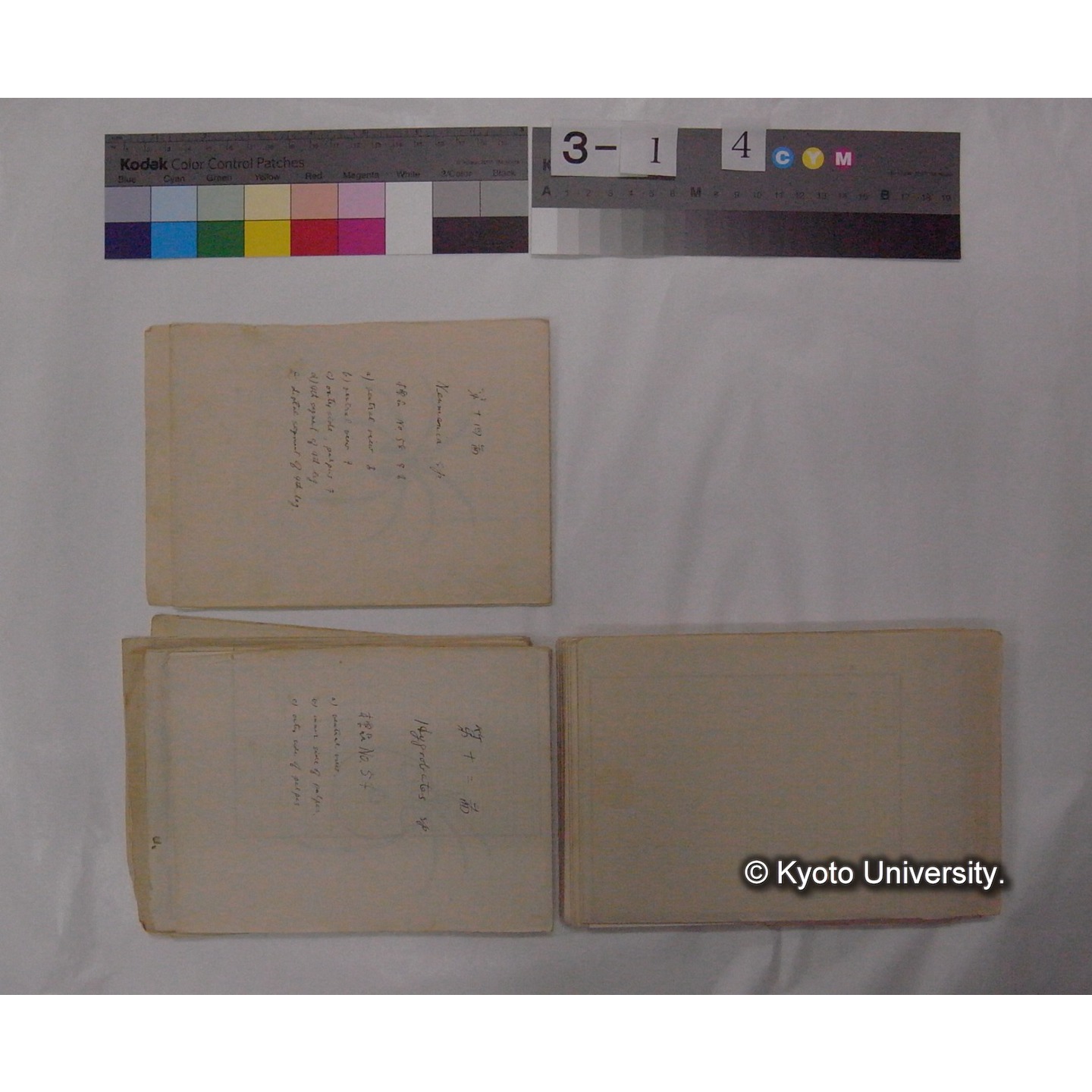 ミズダニ類標本スケッチ集 (60)