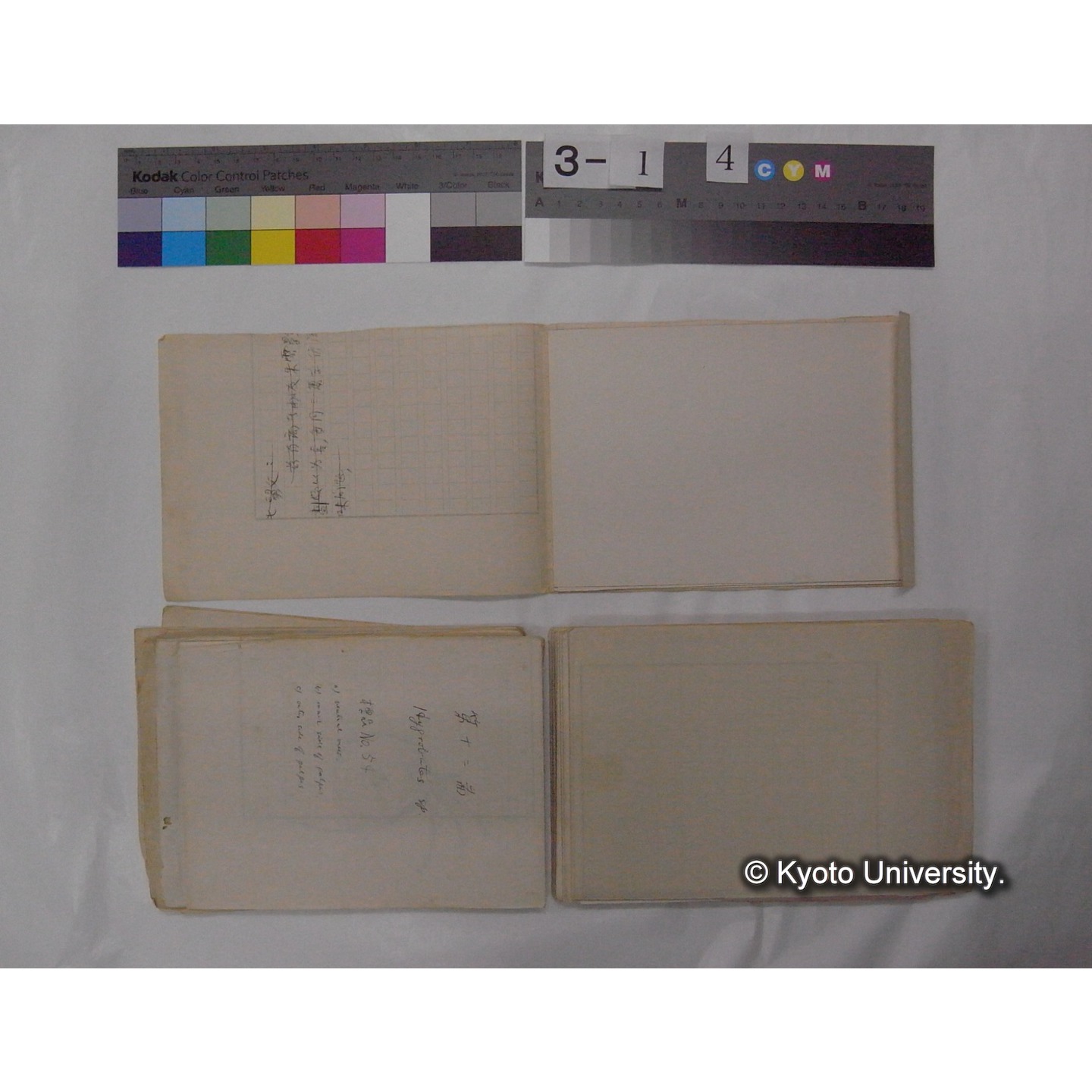 ミズダニ類標本スケッチ集 (67)