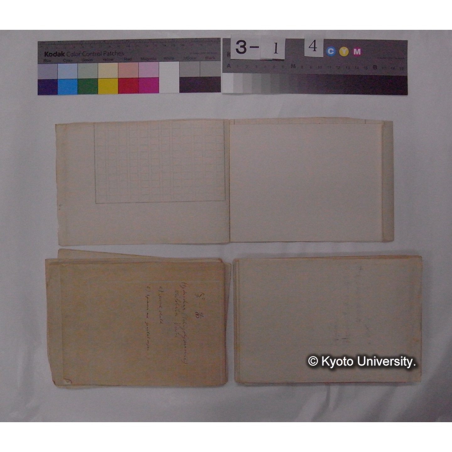 ミズダニ類標本スケッチ集 (72)