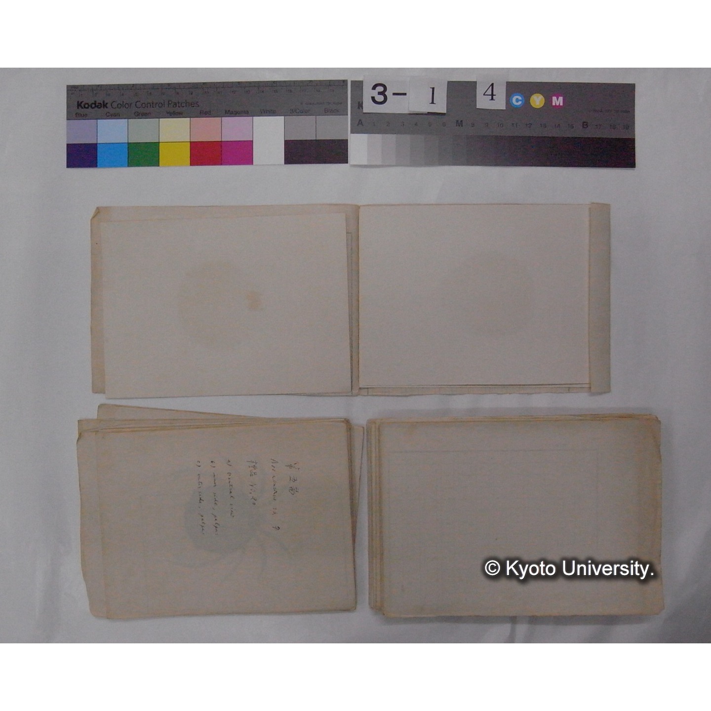 ミズダニ類標本スケッチ集 (79)