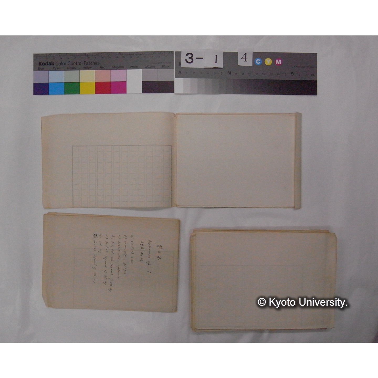 ミズダニ類標本スケッチ集 (96)