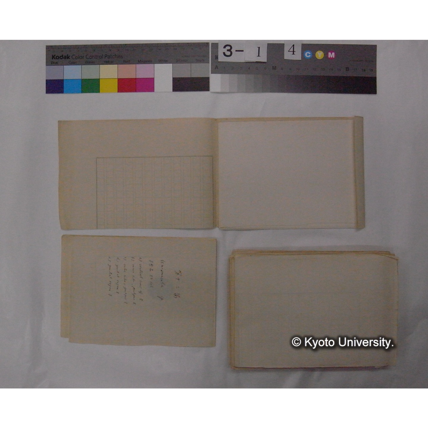 ミズダニ類標本スケッチ集 (103)