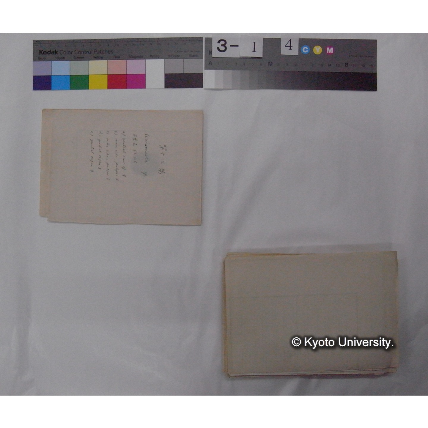 ミズダニ類標本スケッチ集 (104)