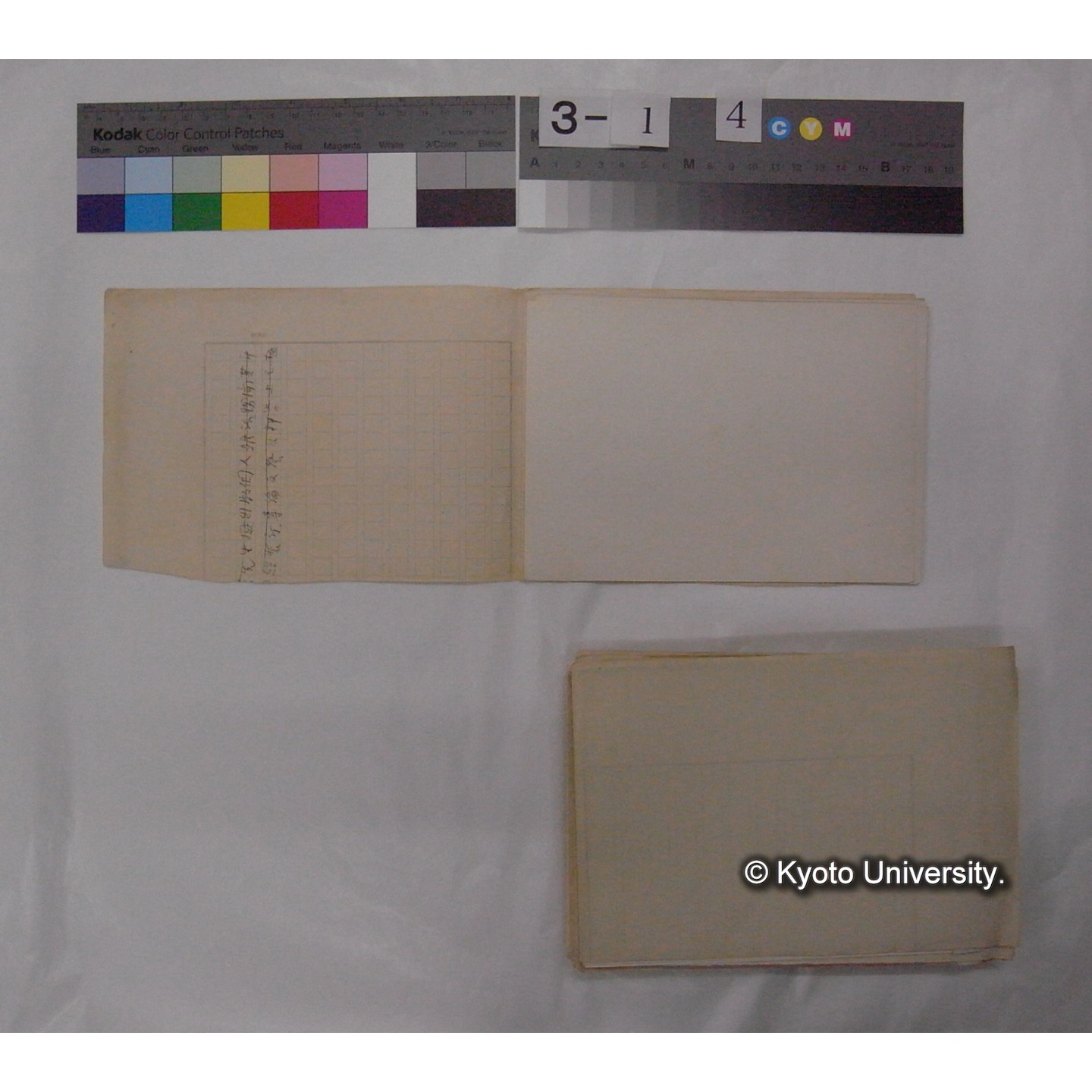 ミズダニ類標本スケッチ集 (109)