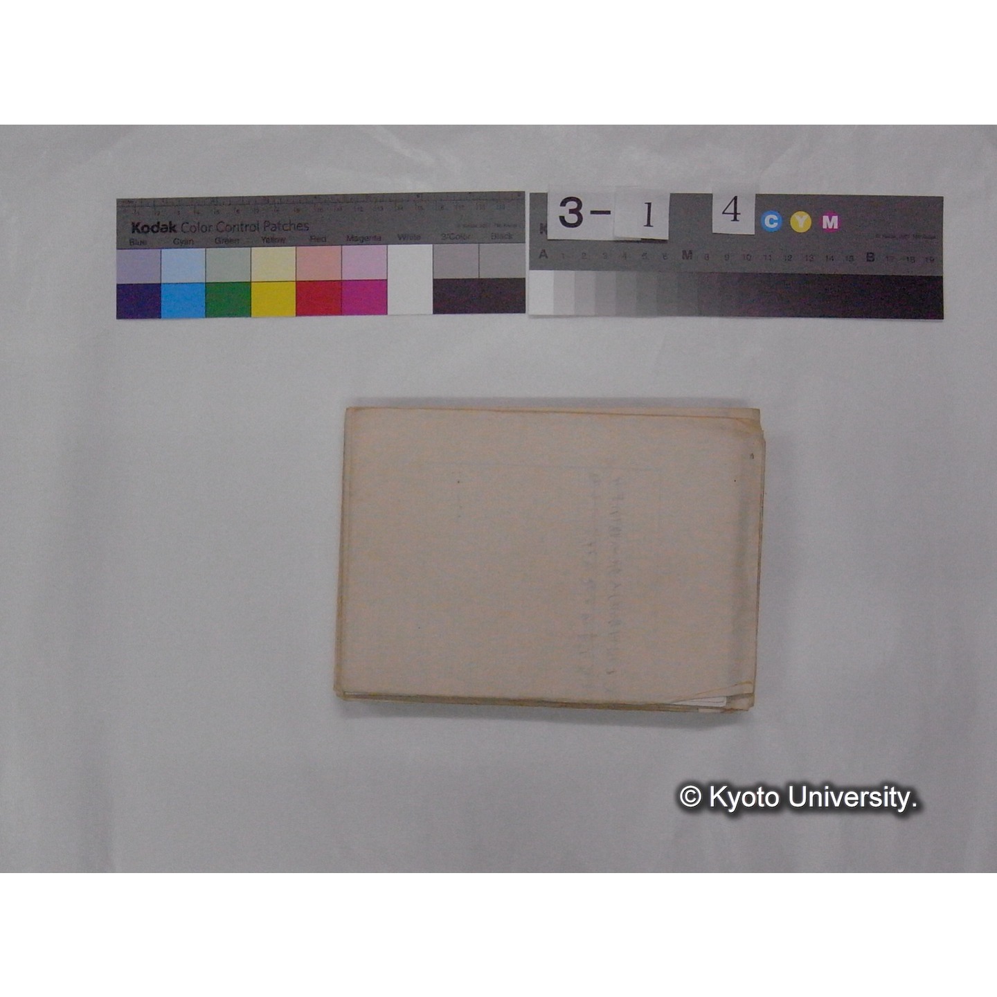 ミズダニ類標本スケッチ集 (110)